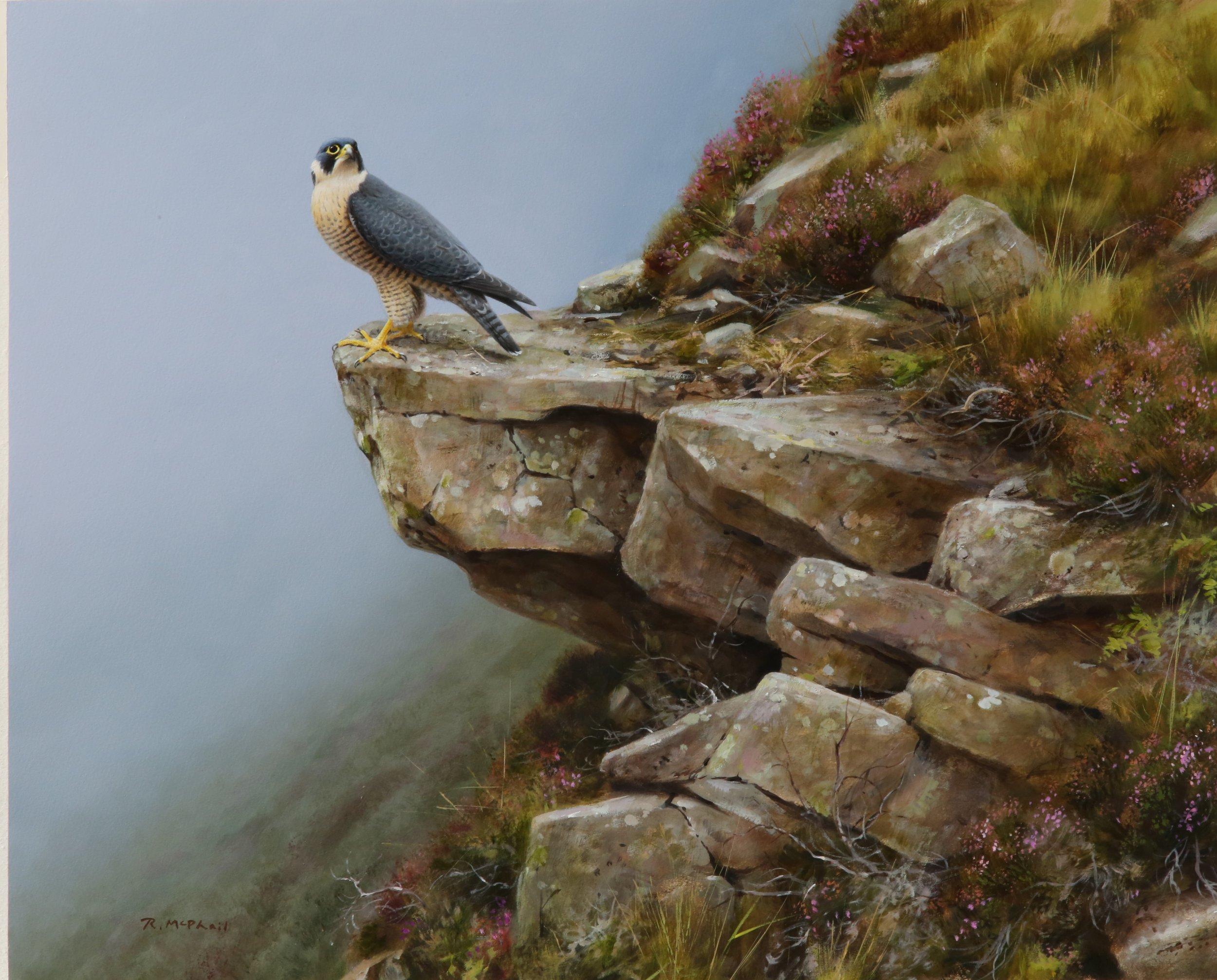 Peregrine on Outcrop