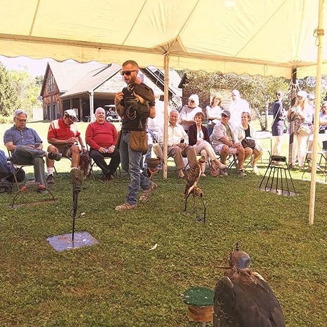 Talking birds at the 13th annual Orvis Game Fair at Sandanona.

Second picture I am explaining how owls karate chop their prey😜

#orvis #sandanona #sandanonashootinggrounds #sandanonagamefair #falconry #falconryshow #falconrylecture