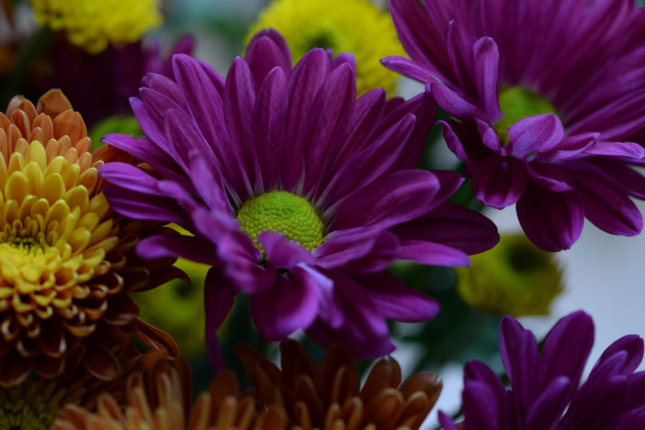 DSC_4162.JPG