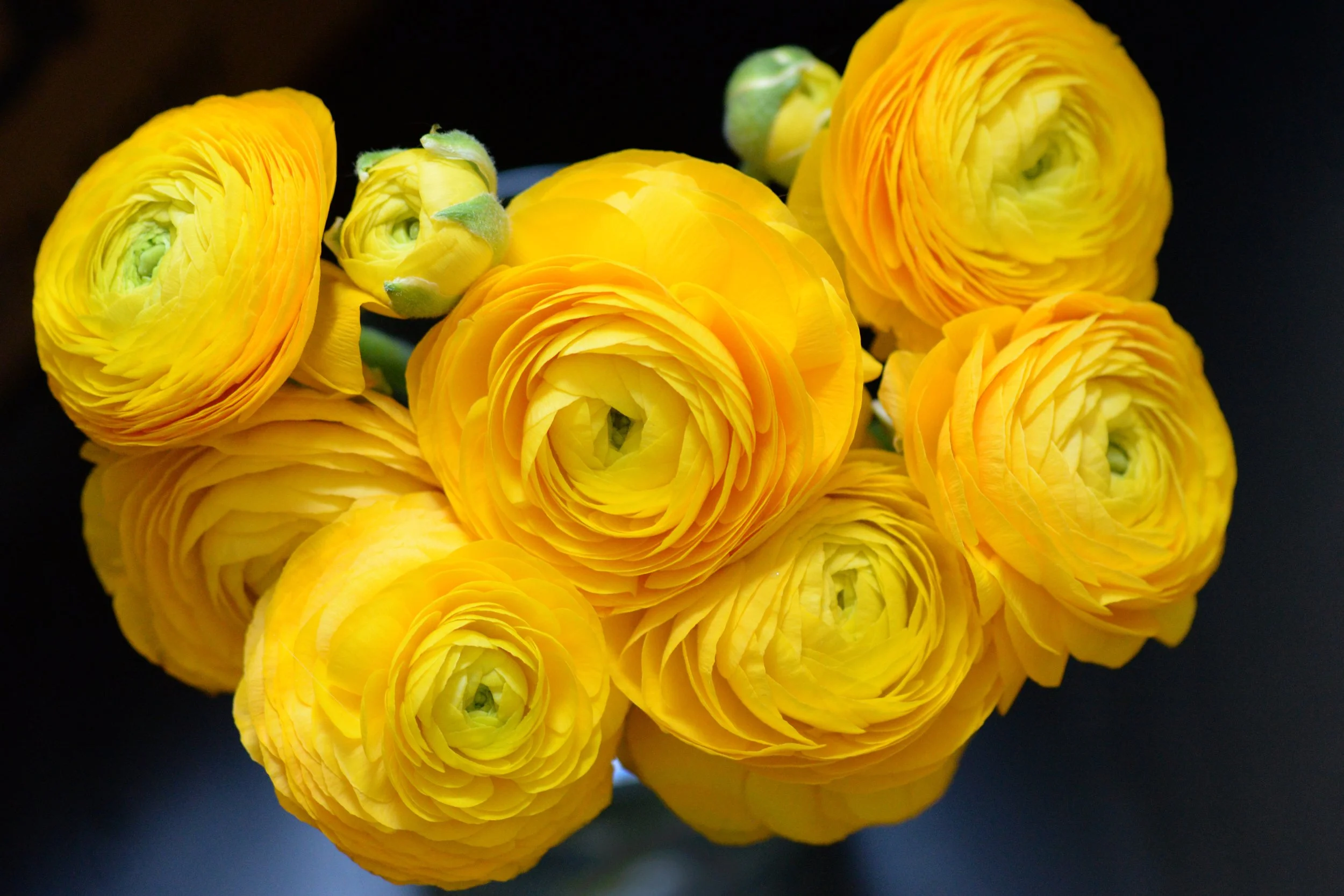 7555eightx12crop.jpg