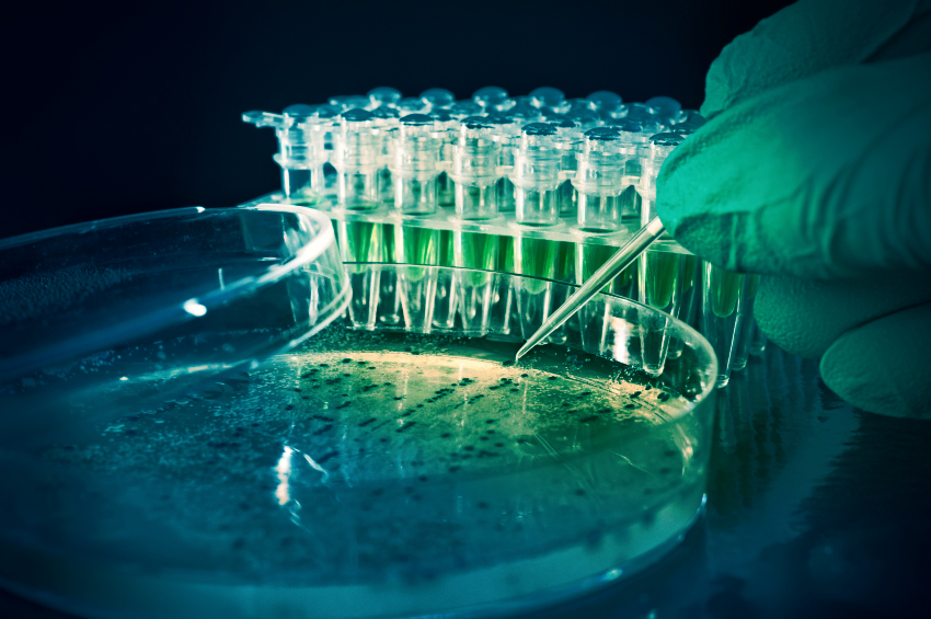 We made care healthier.