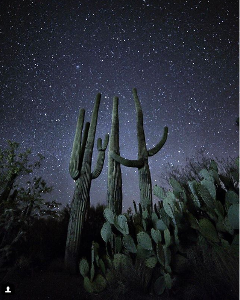 Nature7.png