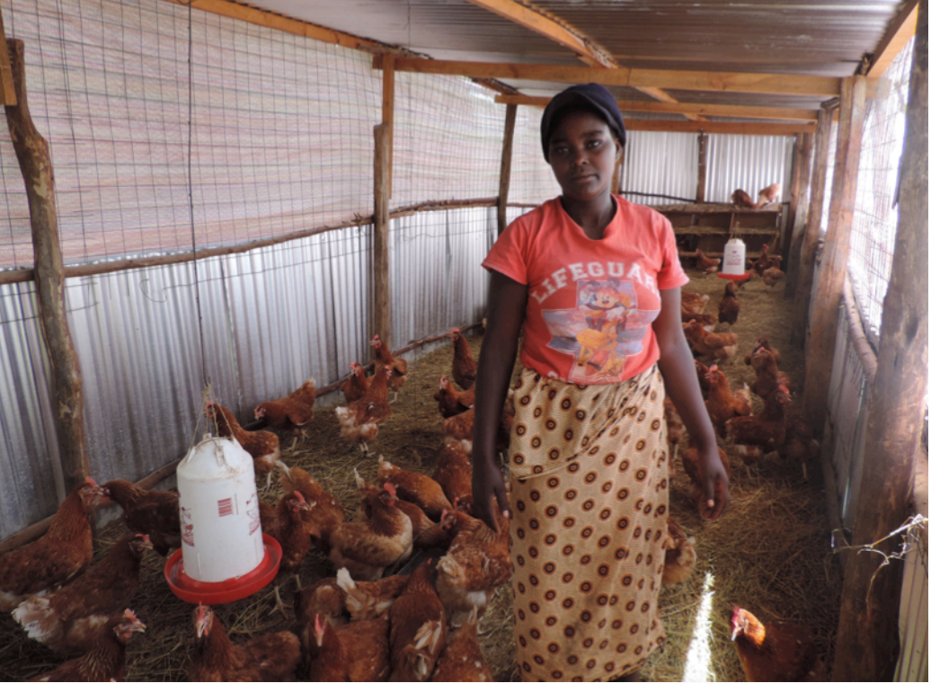 Mary – an Eggpreneur & her “Eggcellent” layers