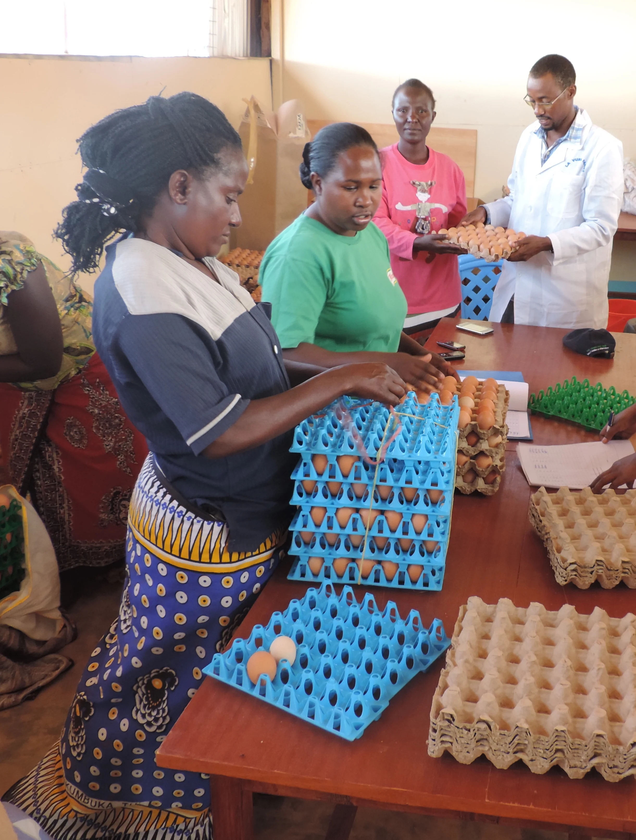  Pennina packs her eggs to sell to local restaurants and grocery stores