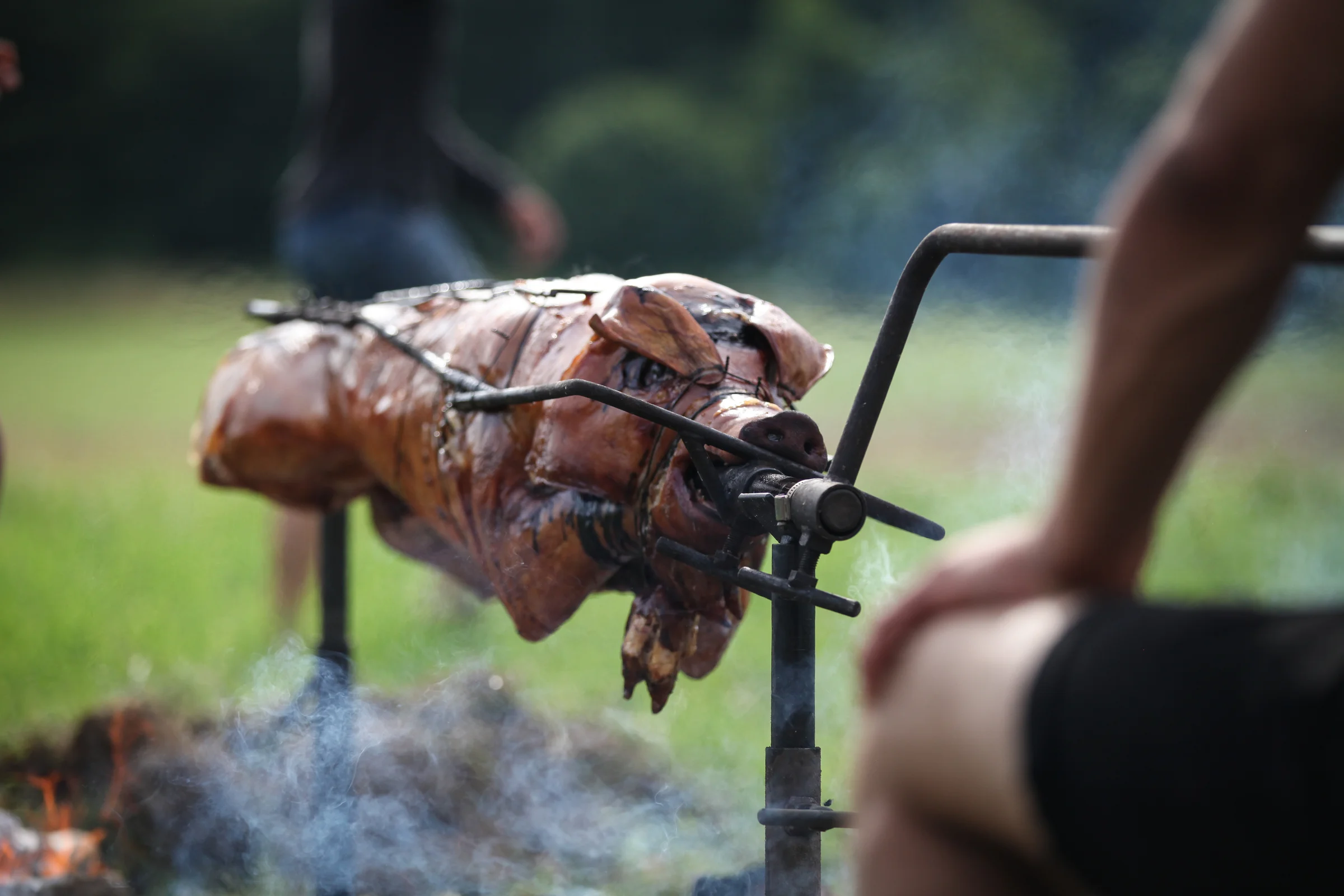 A Grand Fundo Pig's Tale