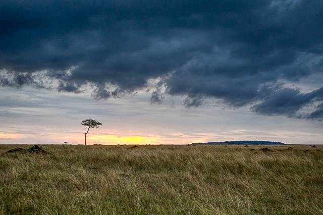 Storm clouds over the vast rolling plains of the Mara Conservancy