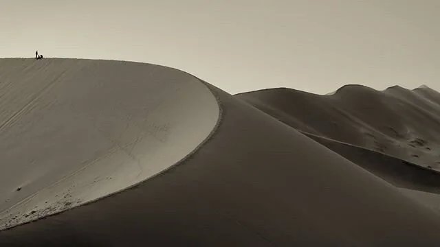 Day35 Covid19 lockdown
Tonight's a special night for us kiwis, we drop from lvl 4 lockdown to lvl3. We regain some minor but incredibly important freedoms, we can leave the house go to our favourite local beach, swim. surf, fish all in our local area