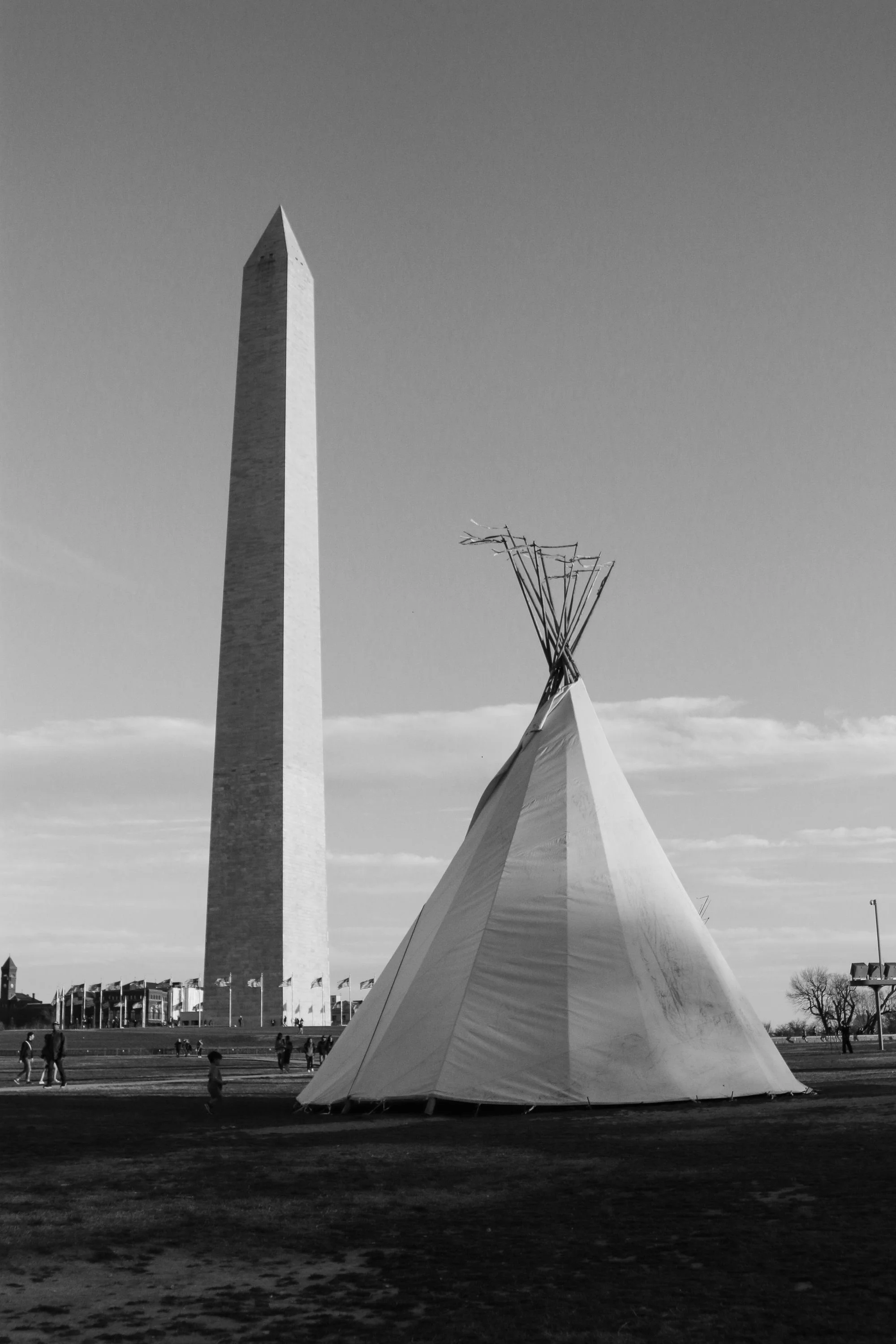 Native Nations Rise Archival Pigment Print 14" x 20" Click image to enlarge ⦿ Inquire