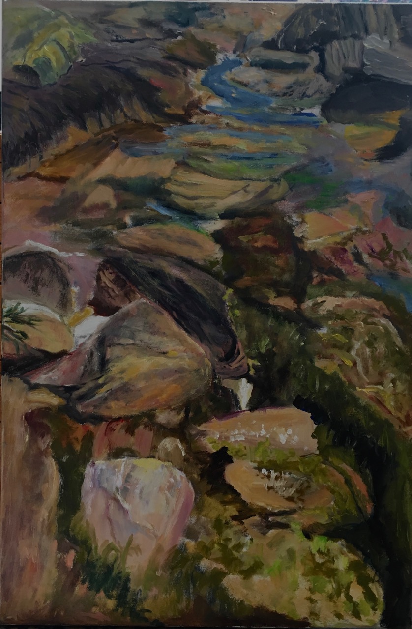 Maine Tide Pool Suzanne Goldberg Oil on Canvas 36" x 24" $1,500 Click here to Inquire