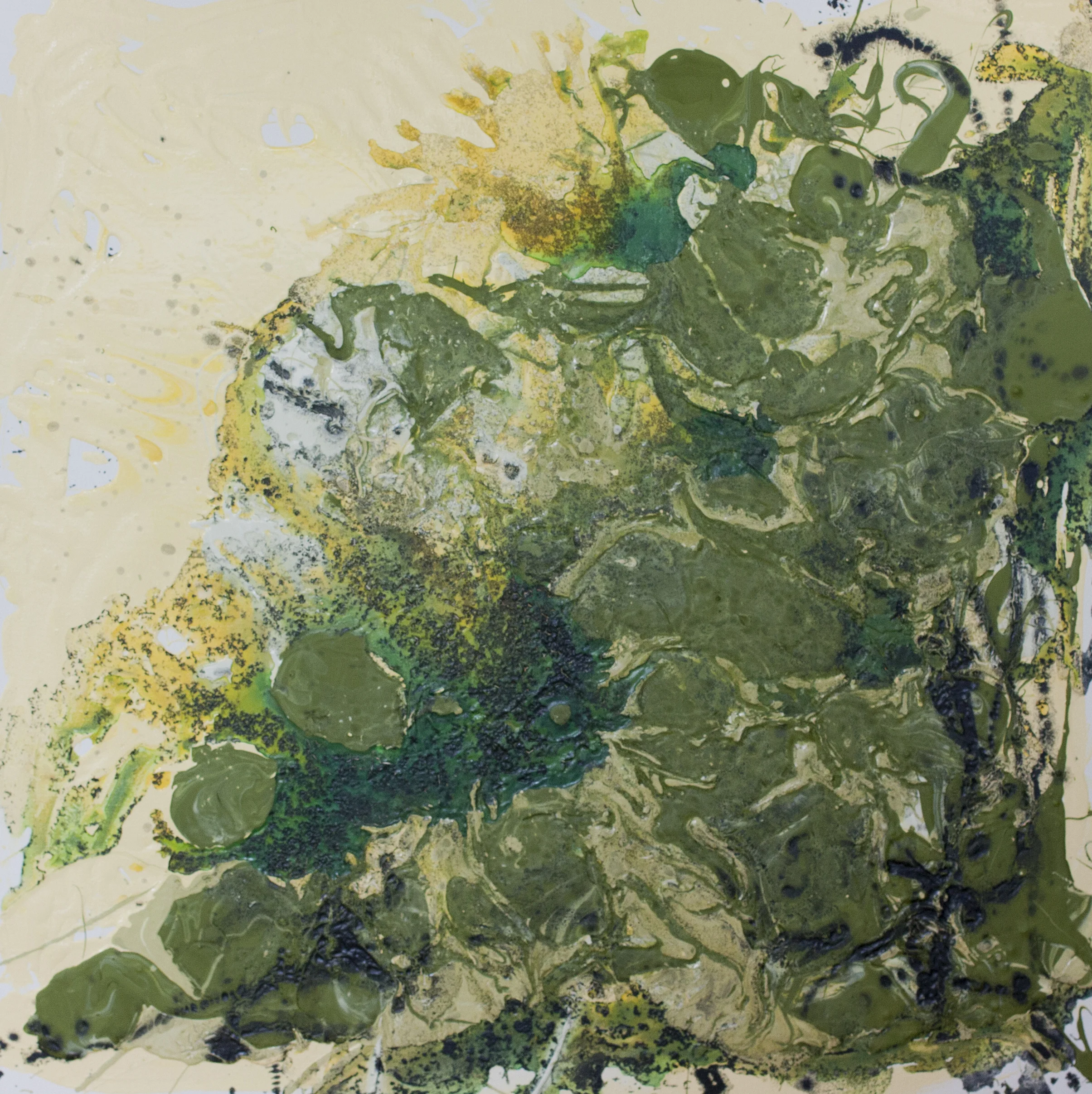 Mess of Green Kathryn Camicia Latex and Oil on Canvas 30" x 30" $800 Click here to Inquire
