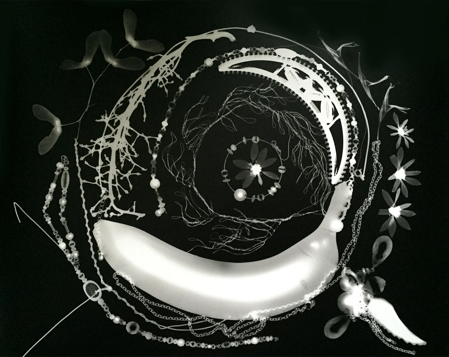 Falling in Julie Koehler Photogram 11" x 14" $500 ($550 framed) Click here to Inquire