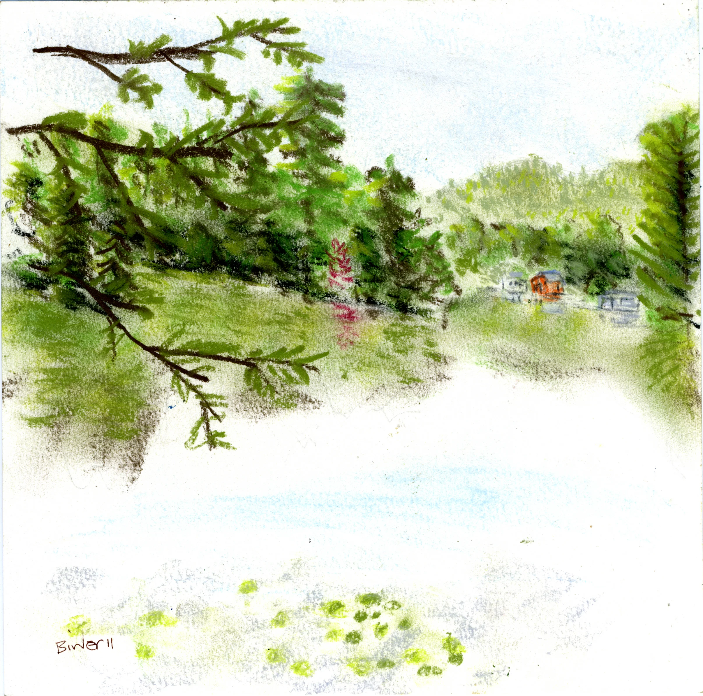 Maple Turning, Mountain View Lake, Adirondacks Conte chalk on paper 8” x 8” Click image to enlarge ⦿ Inquire