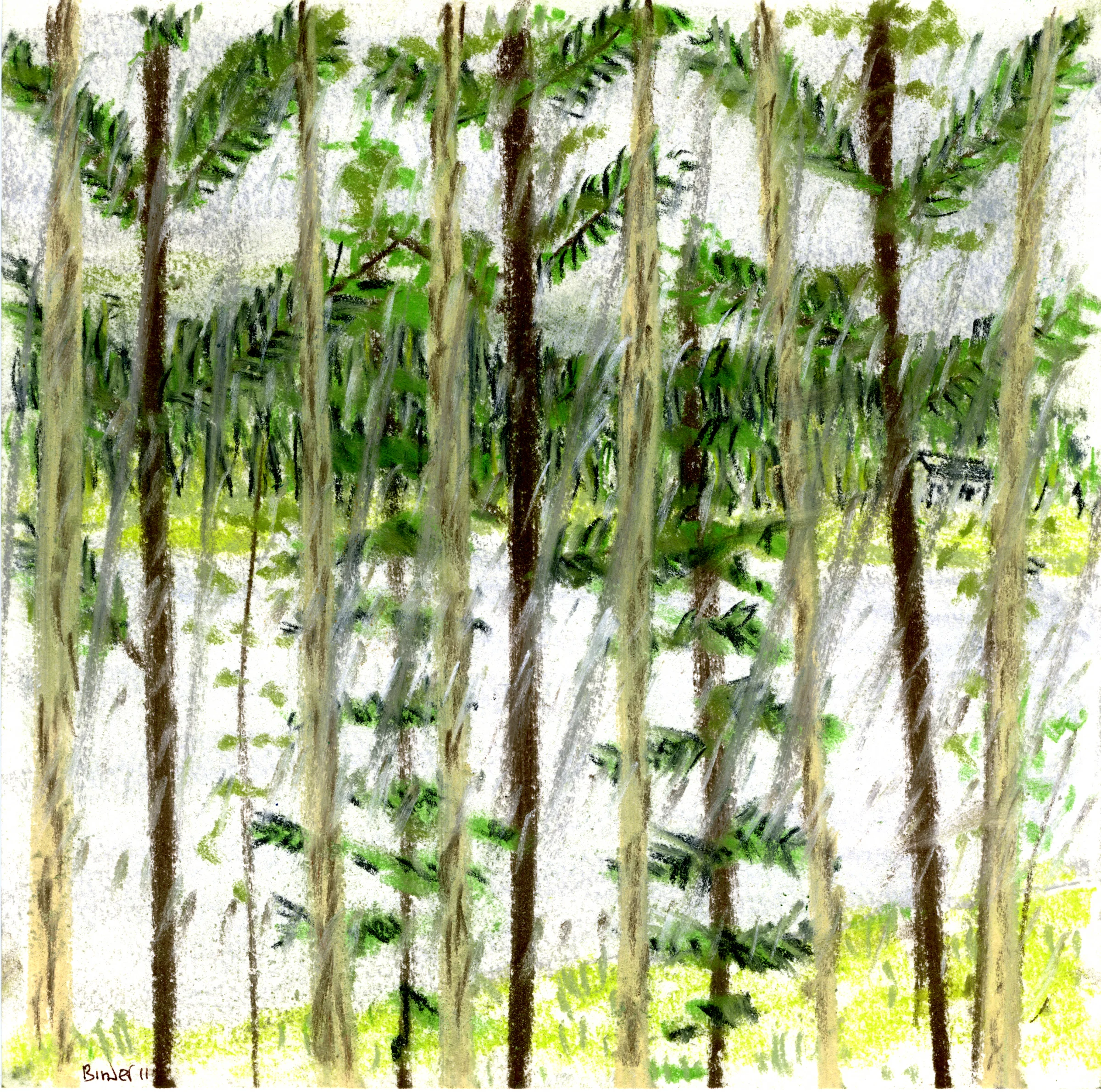 Hurricane Irene Over Mountain View Lake, Adirondacks Conte chalk on paper 8” x 8” Click image to enlarge ⦿ Inquire