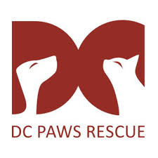 dc paws rescue.jpeg