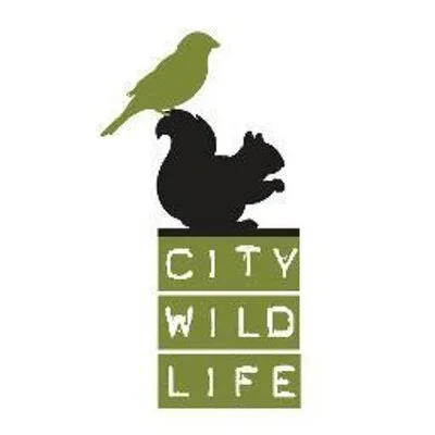 city wildlife.jpeg