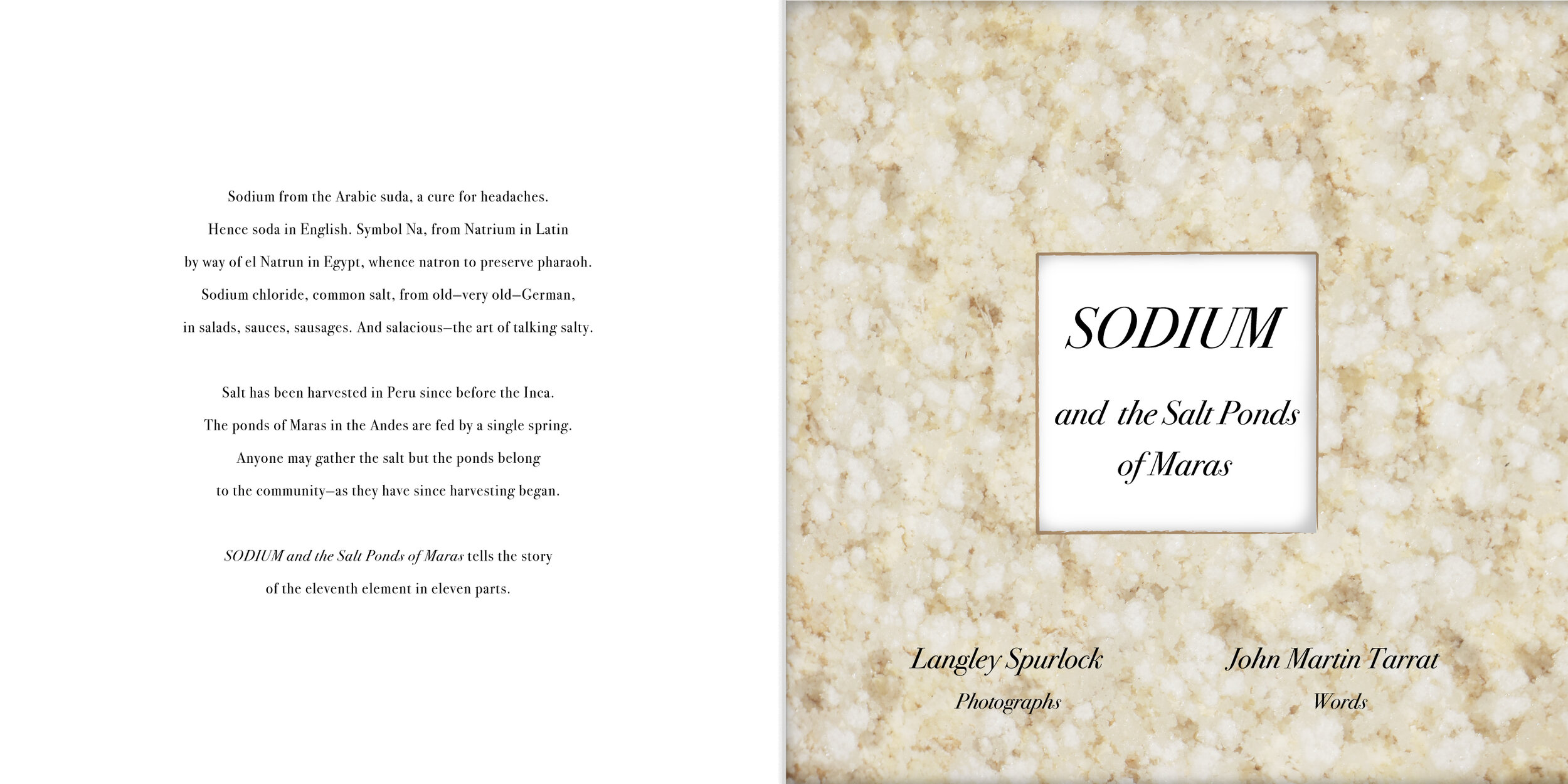 Sodium 11 Unbound Book Pages and Cover: Archival Pigment Prints (Edition of 5) 10” x 20” Click image to enlarge ⦿ Inquire