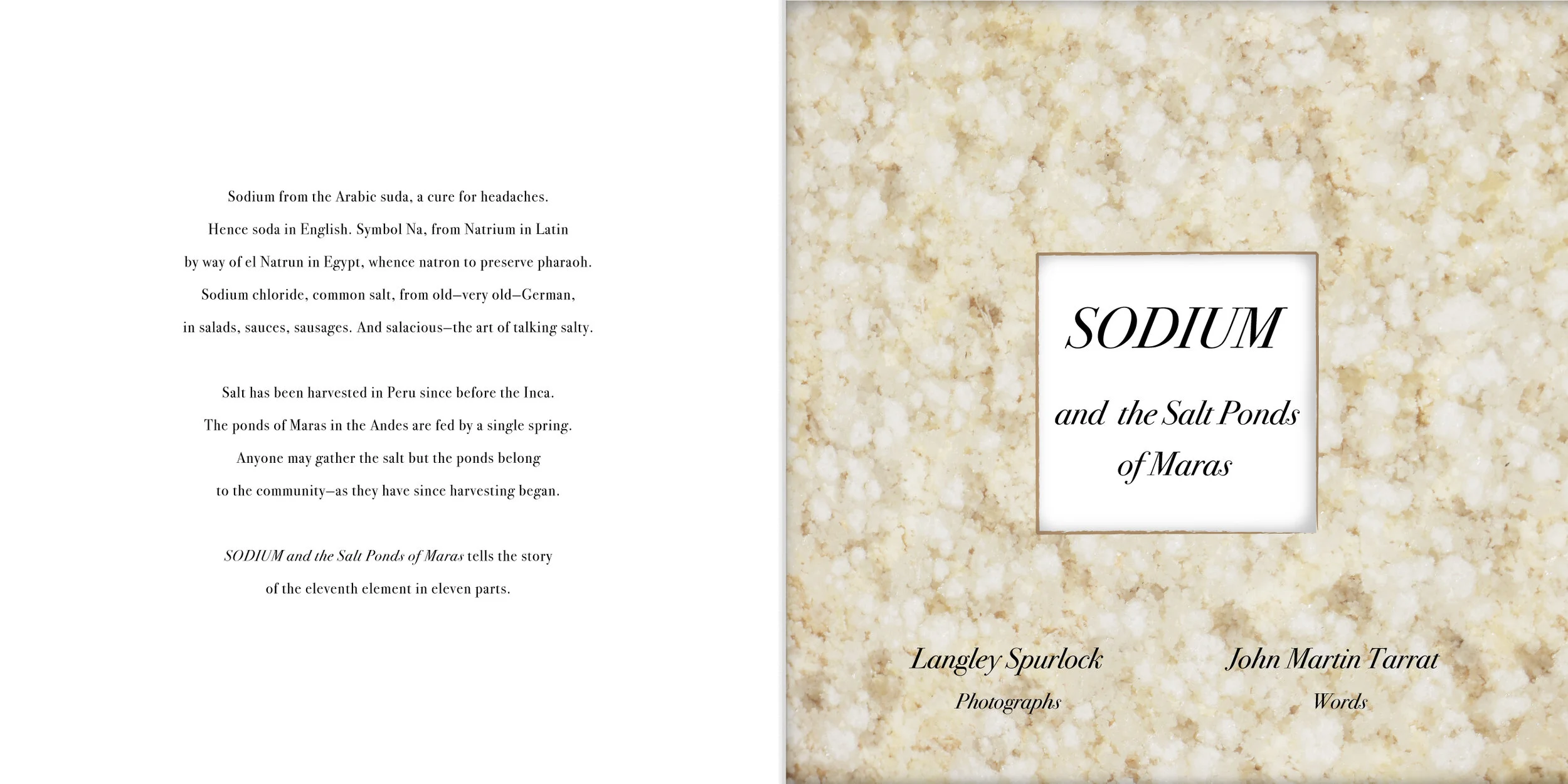 Sodium 11 Unbound Book Pages and Cover: Archival Pigment Prints (Edition of 5) 10” x 20” $150 each, $1500 set of 12 Click image to enlarge ⦿ Inquire