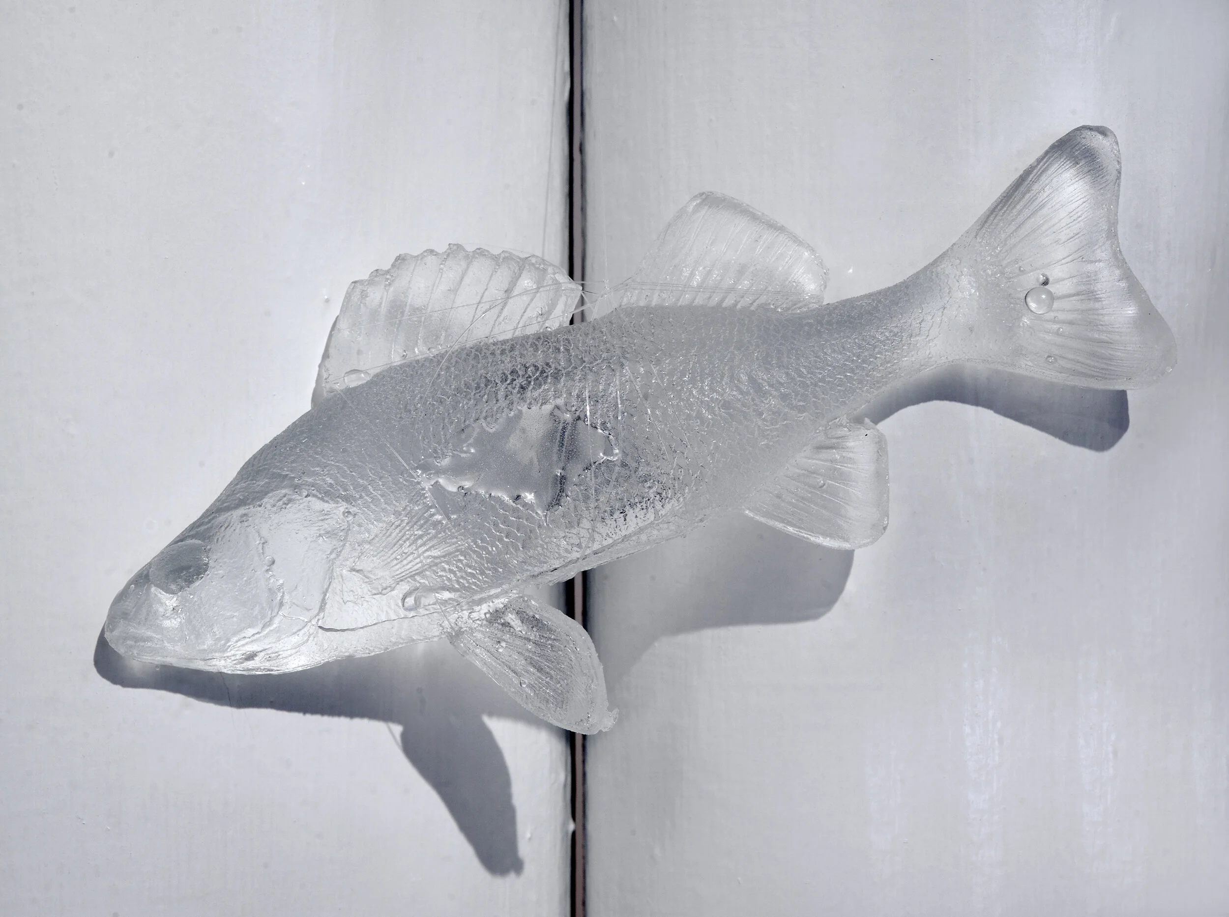 Handmade Resin Fish Resin Click image to enlarge ⦿ Inquire