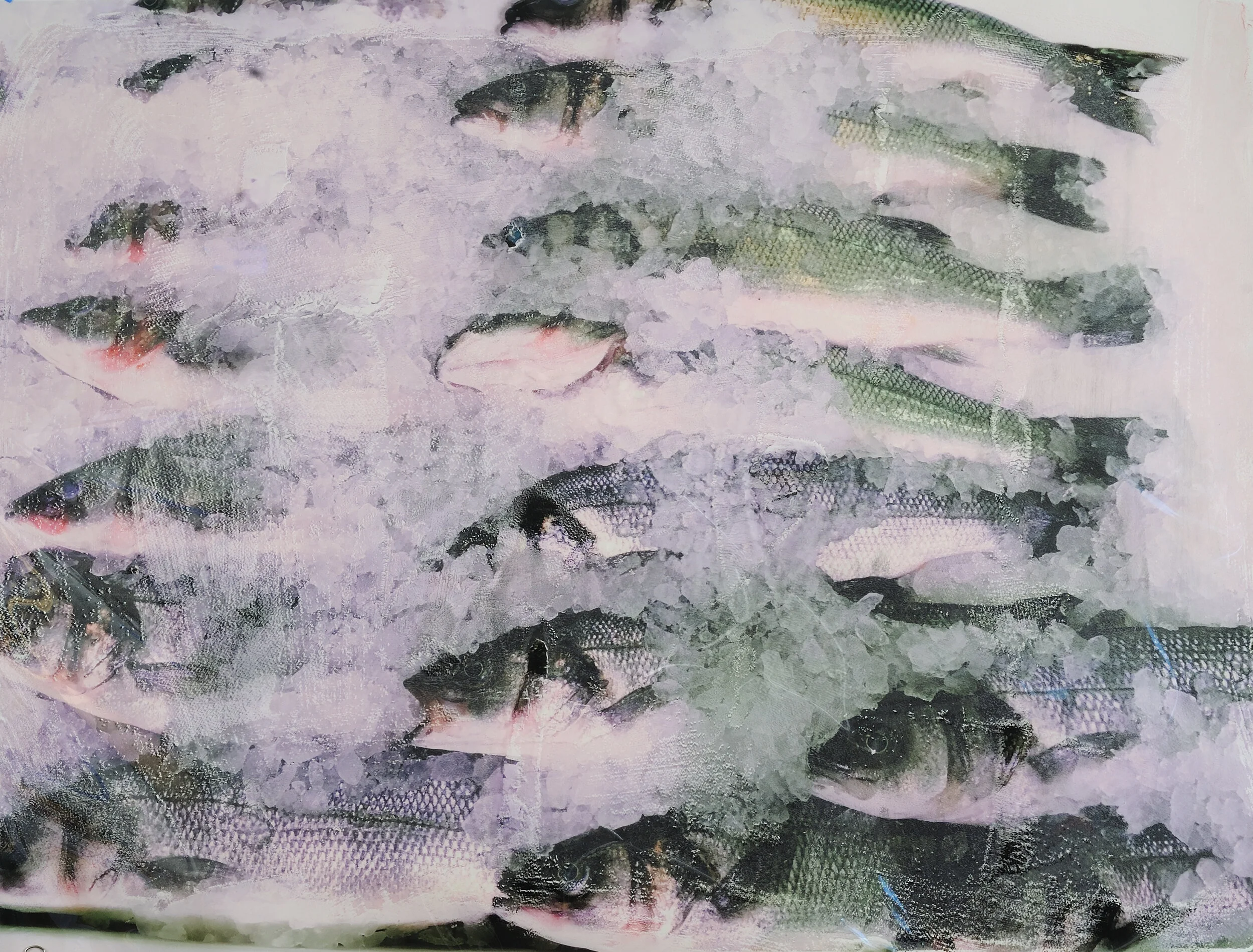 Fish on Ice Mixed media with transfer film on paper Click image to enlarge ⦿ Inquire