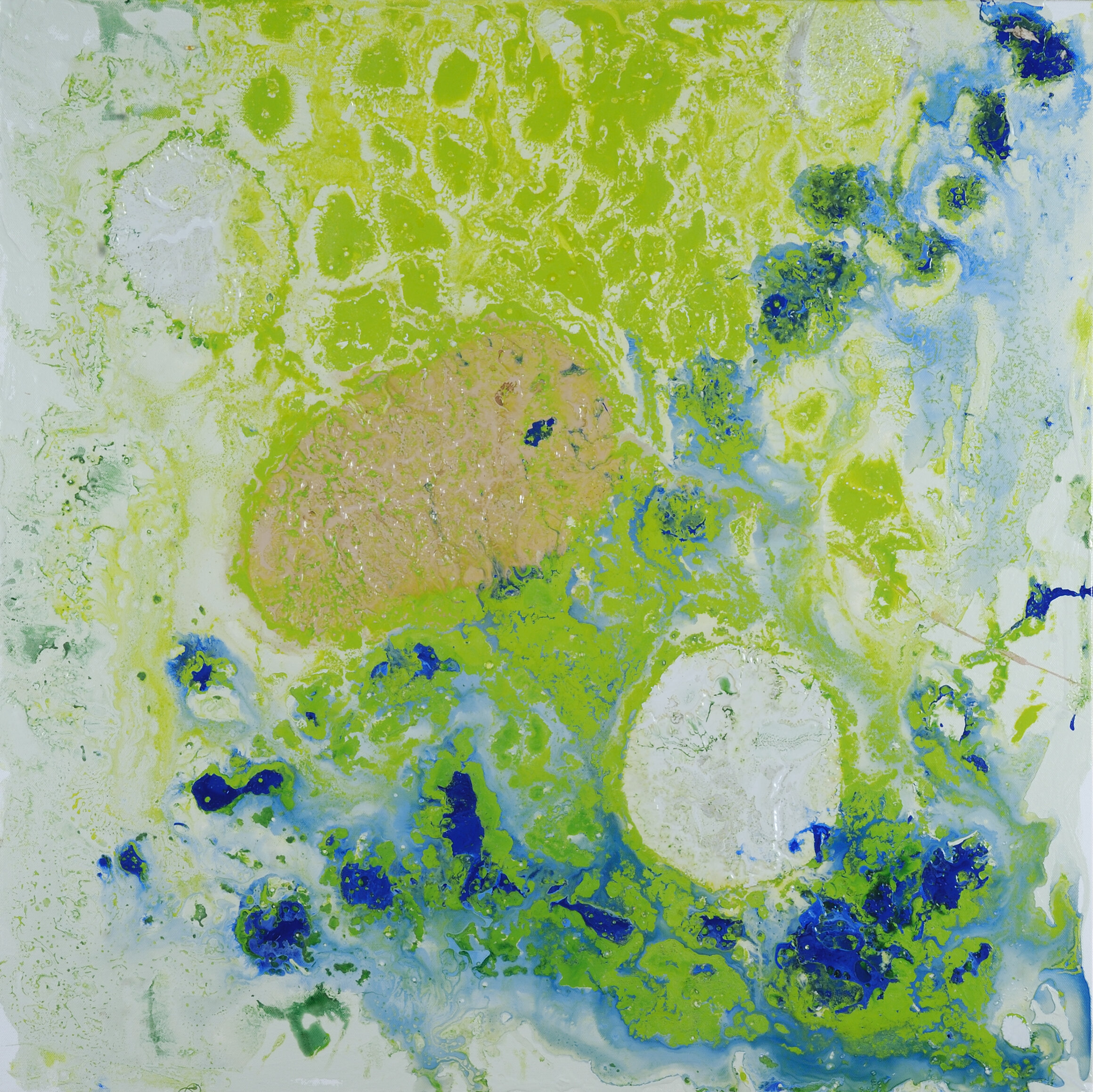 Botswana #1 2019 Latex and oil on canvas 30 x 30 in. Click image to enlarge ⦿ Inquire