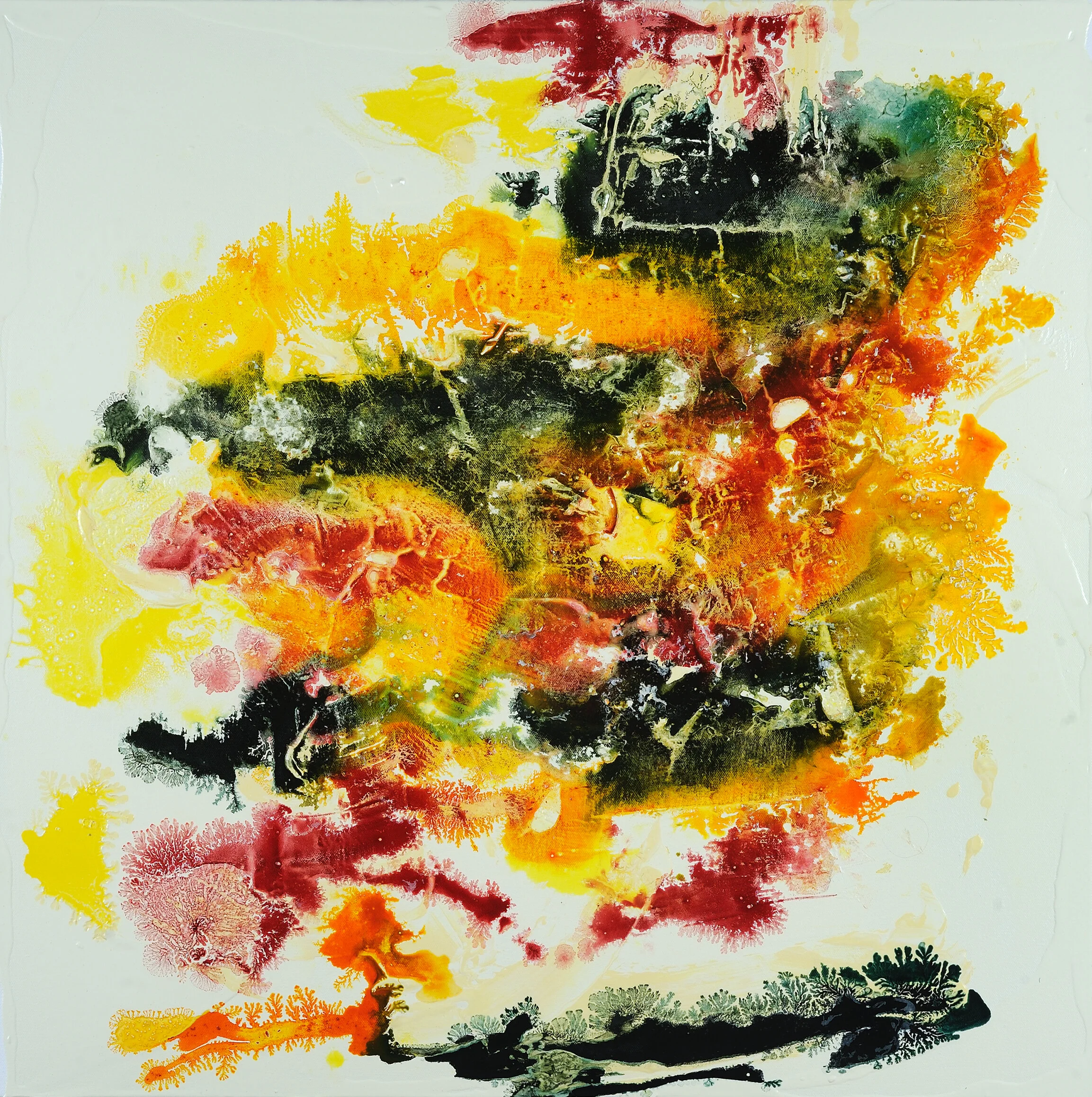 Botswana #3 2019 Latex and oil on canvas 30 x 30 in. Click image to enlarge ⦿ Inquire