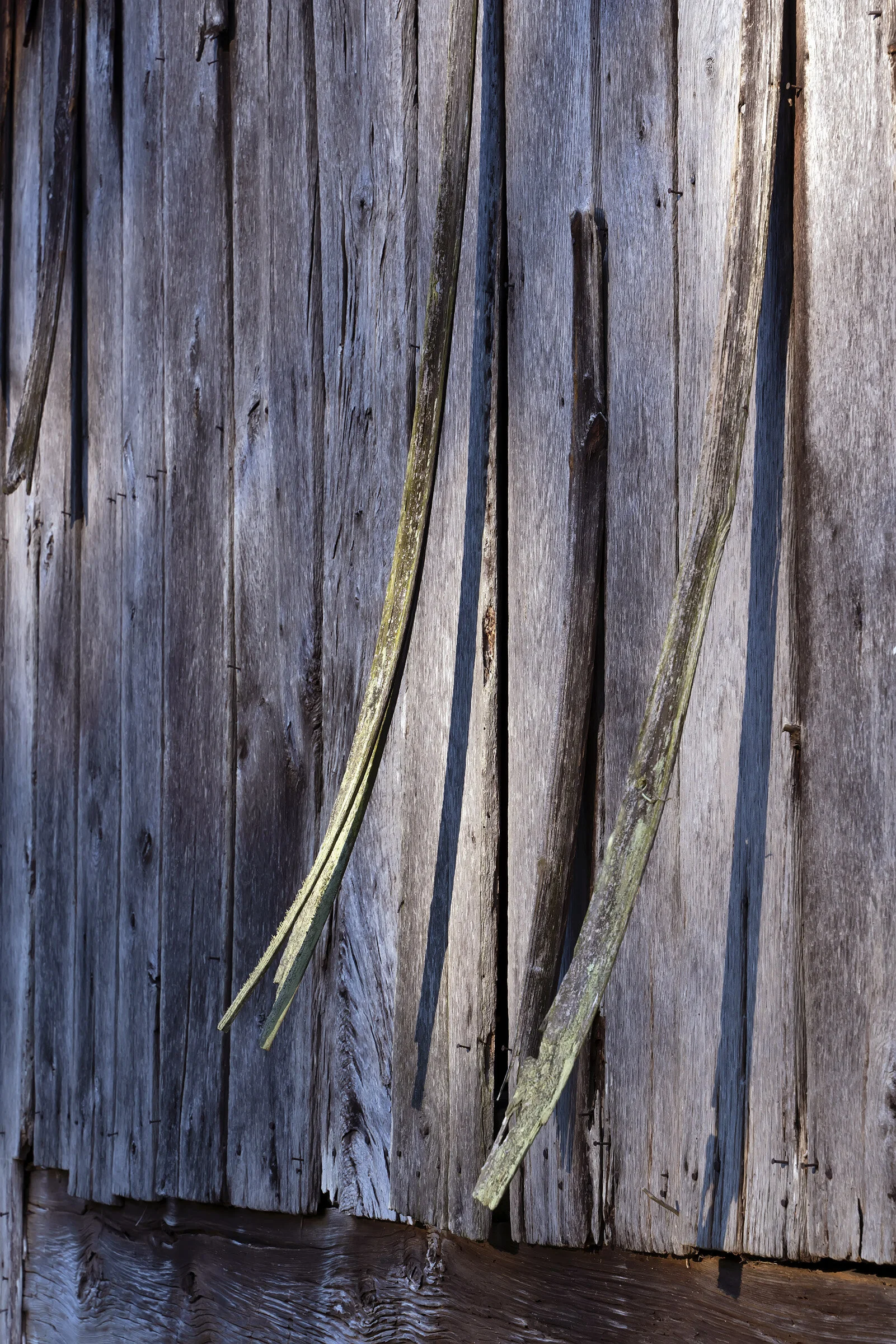 Retreat: Farm: Barnside No. 2 Gary Anthes Archival photographic print 12 x 18 in. unframed Edition of six, signed and numbered in margin Click image to enlarge ⦿ Inquire