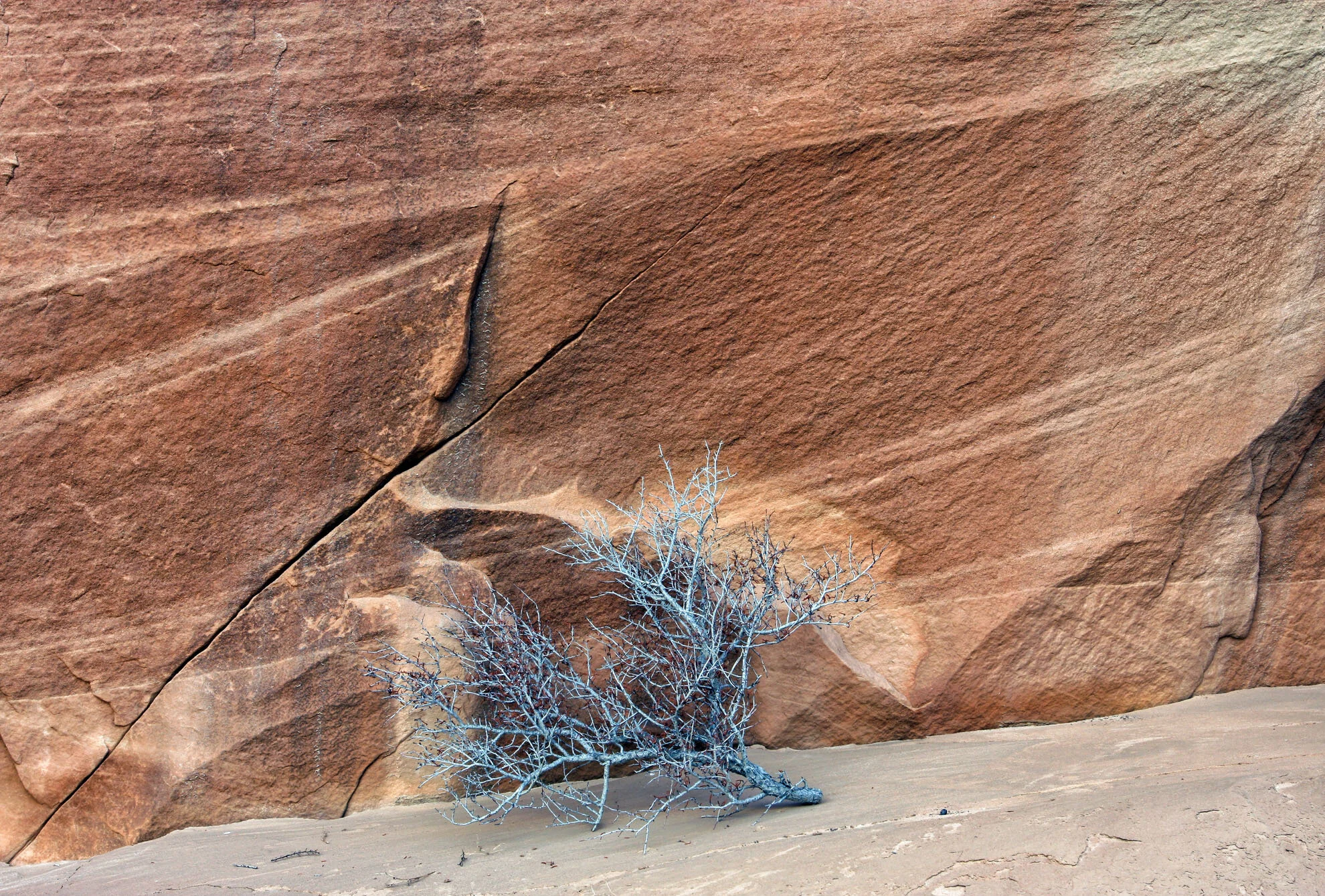 Cottonwood Wash Narrows, Utah Gary Anthes Archival print 11 x 16.5 in. No. 1 in signed edition of six prints Click image to enlarge ⦿ Inquire