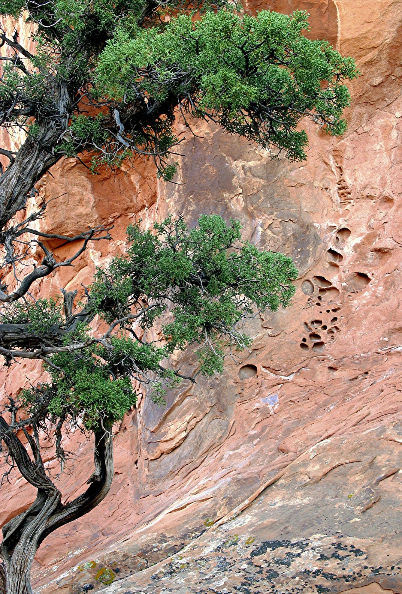 Buckskin Gulch, Utah Gary Anthes Archival print 11 x 16.5 in. No. 1 in signed edition of six prints Click image to enlarge ⦿ Inquire