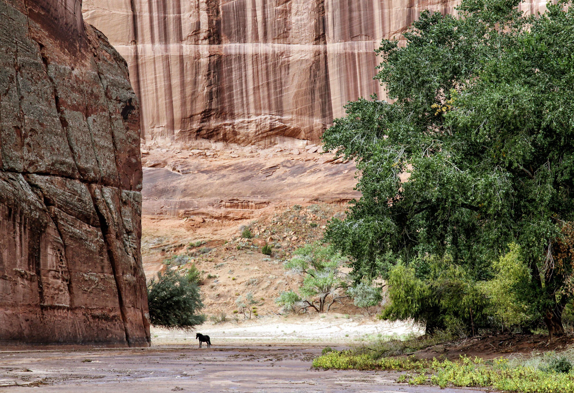 Canyon de Chelly, Arizona Gary Anthes Archival print 16 x 24 in. No. 1 in signed edition of six prints Click image to enlarge ⦿ Inquire