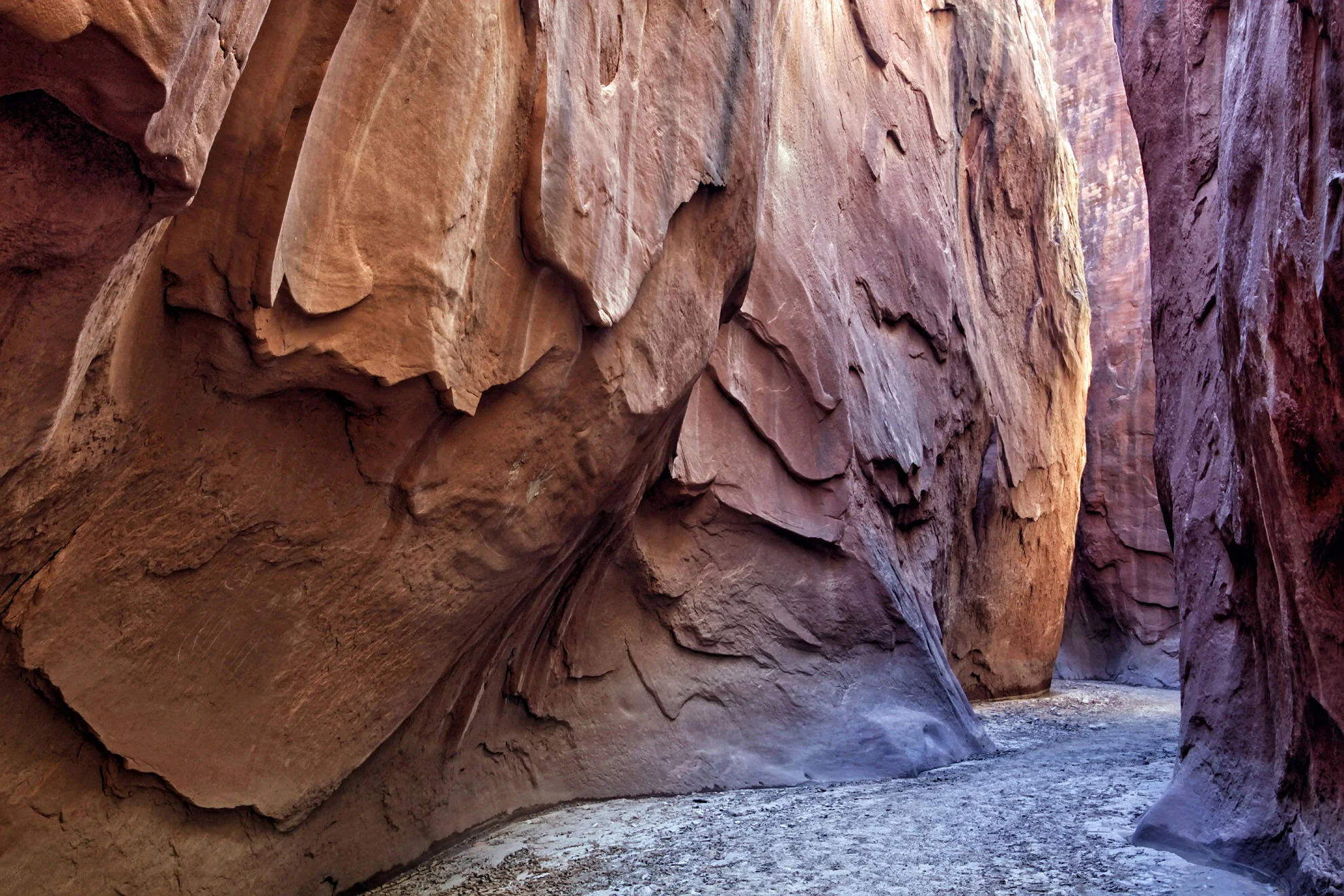 Dry Branch of Coyote Gulch, Utah Gary Anthes Archival print 16 x 24 in. No. 1 in signed edition of six prints Click image to enlarge ⦿ Inquire