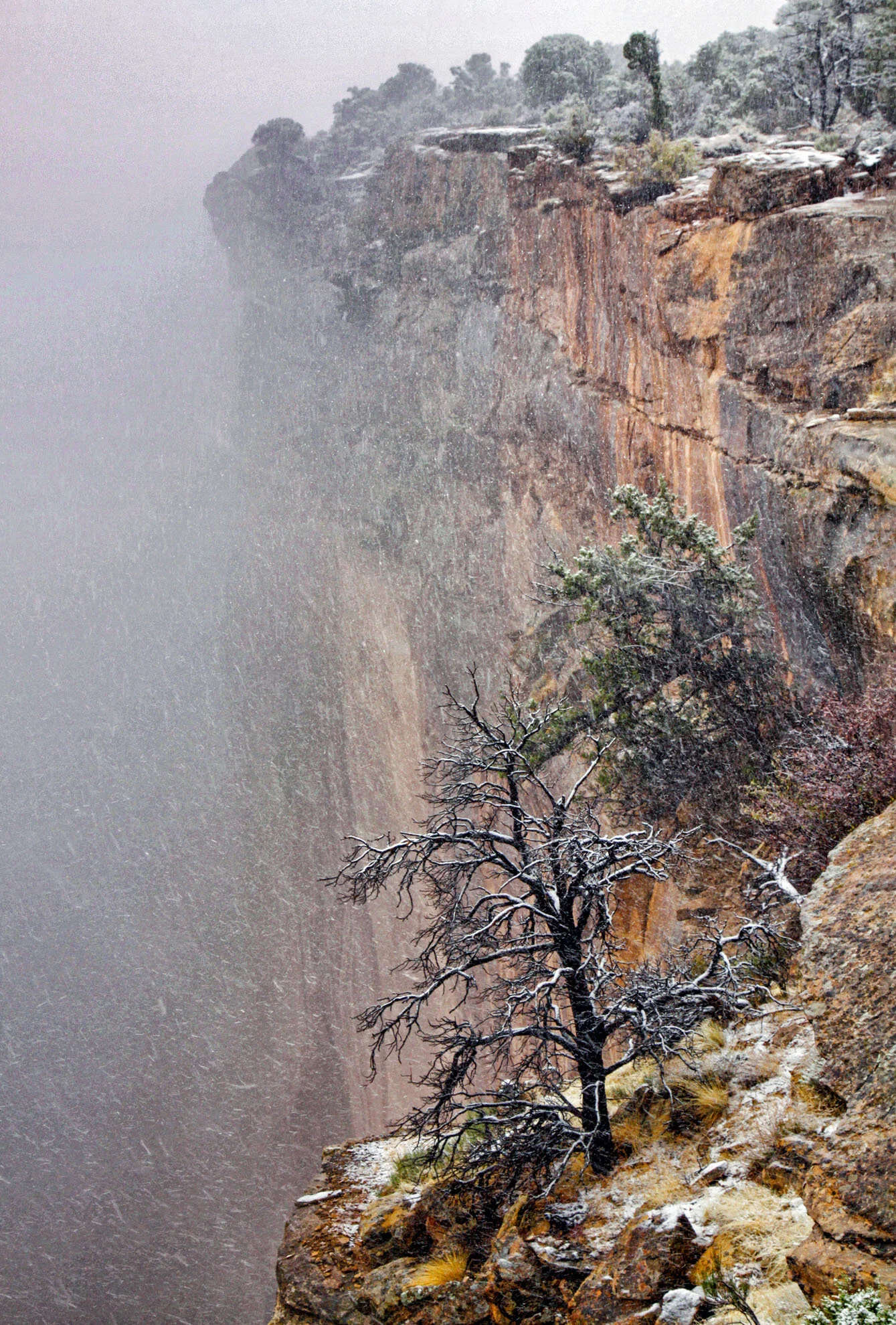 Canyon del Muerto, Arizona Gary Anthes Archival print 11 x 16.5 in. No. 1 in signed edition of six prints Click image to enlarge ⦿ Inquire