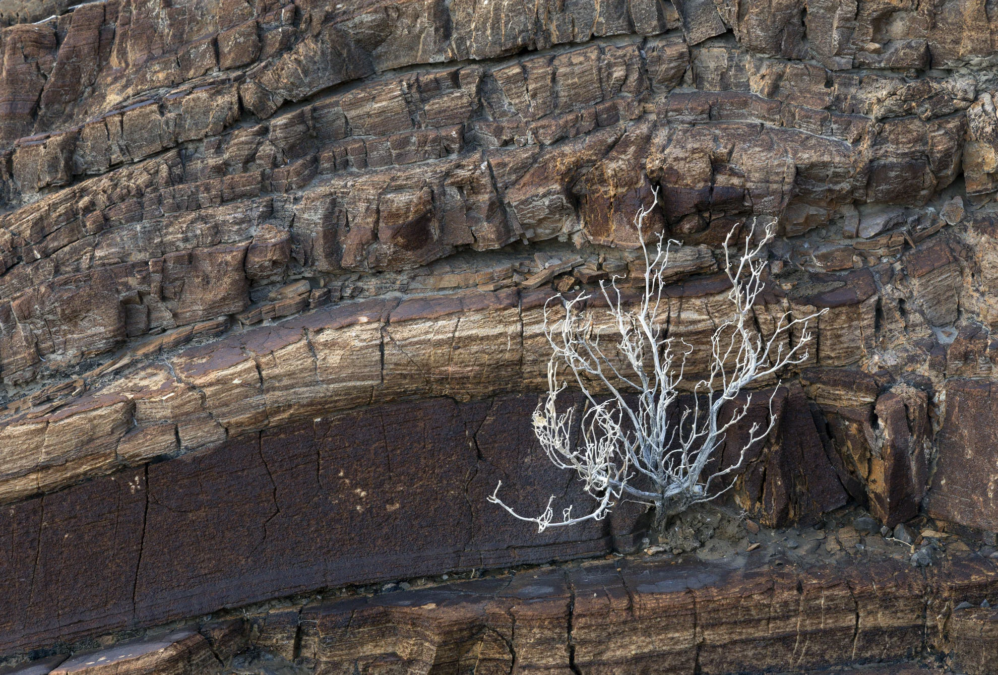 Mosaic Canyon, Death Valley, California Gary Anthes Archival print 11 x 16.5 in. No. 1 in signed edition of six prints Click image to enlarge ⦿ Inquire