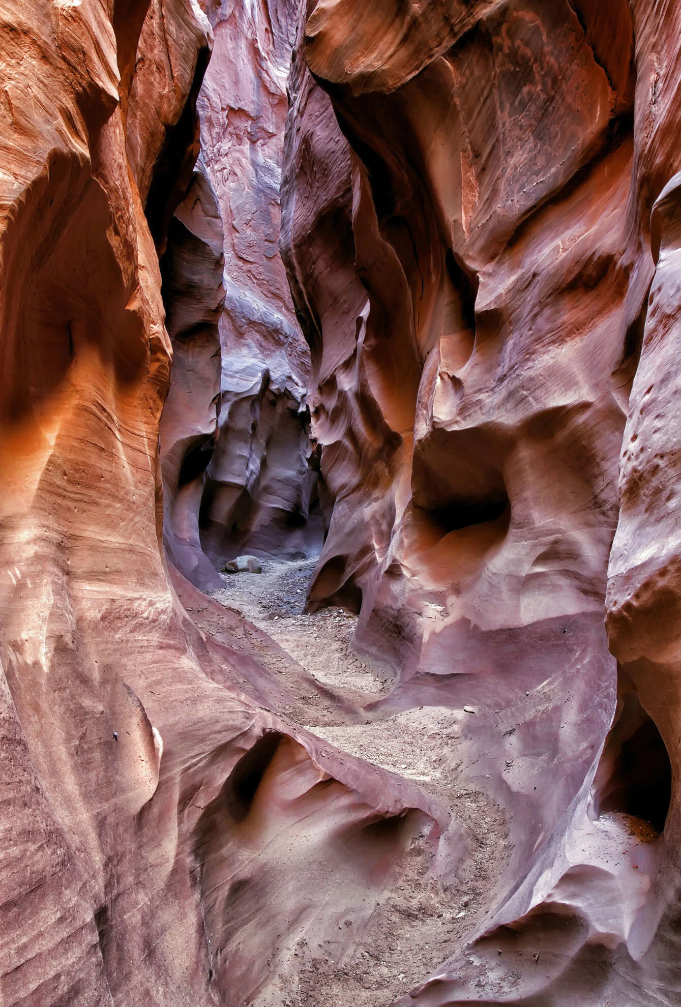 Dry Branch of Coyote Gulch, Utah Gary Anthes Archival print 11 x 16.5 in. No. 1 in signed edition of six prints Click image to enlarge ⦿ Inquire