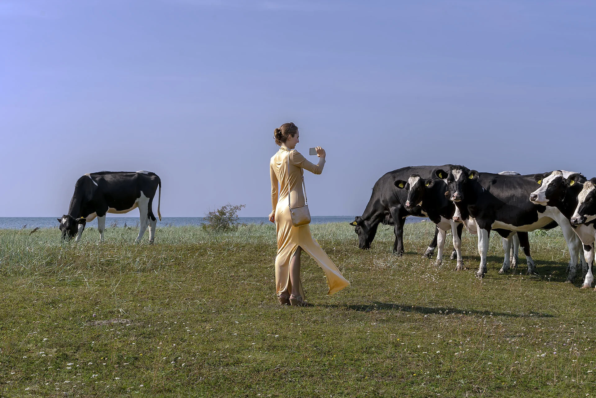 Wedding Guests Gary Anthes  Archival photograph, no. 1 in signed edition of 6 12.5 x 18 in. Click image to enlarge ⦿ Inquire