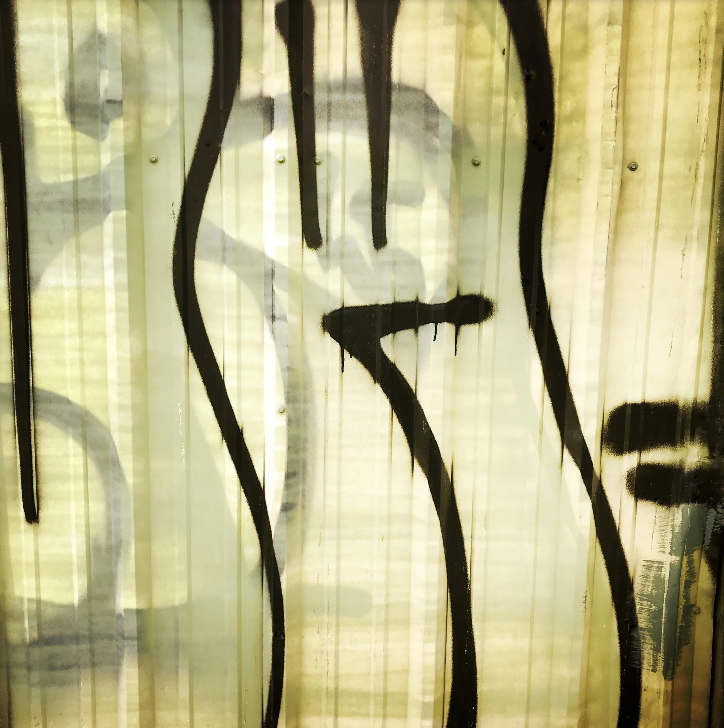 Graffiti on Tchoupitoulas Street, New Orleans Susan Raines Archival Photograph 11 x 11 in. (21 x 20 in. framed) Click image to enlarge ⦿ Inquire