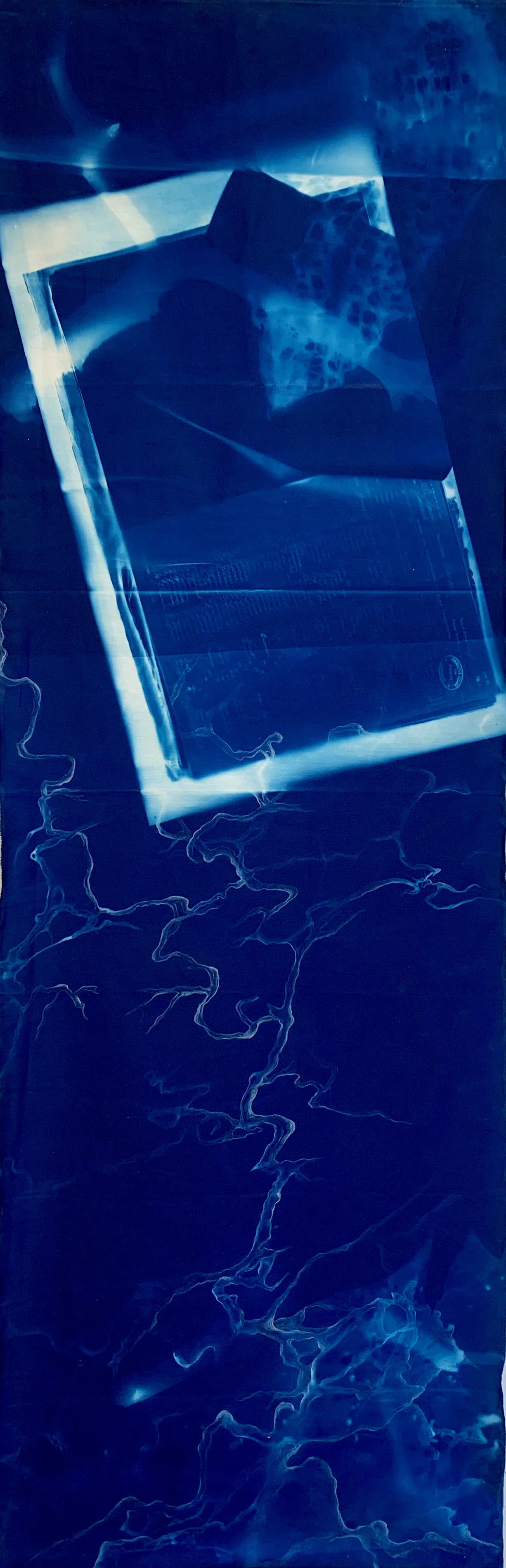 Sunken Roots Micheline Klagsbrun Mixed media (ink, color pencil, cyanotype on cotton) 20 x 60 in. Click image to enlarge ⦿ Inquire