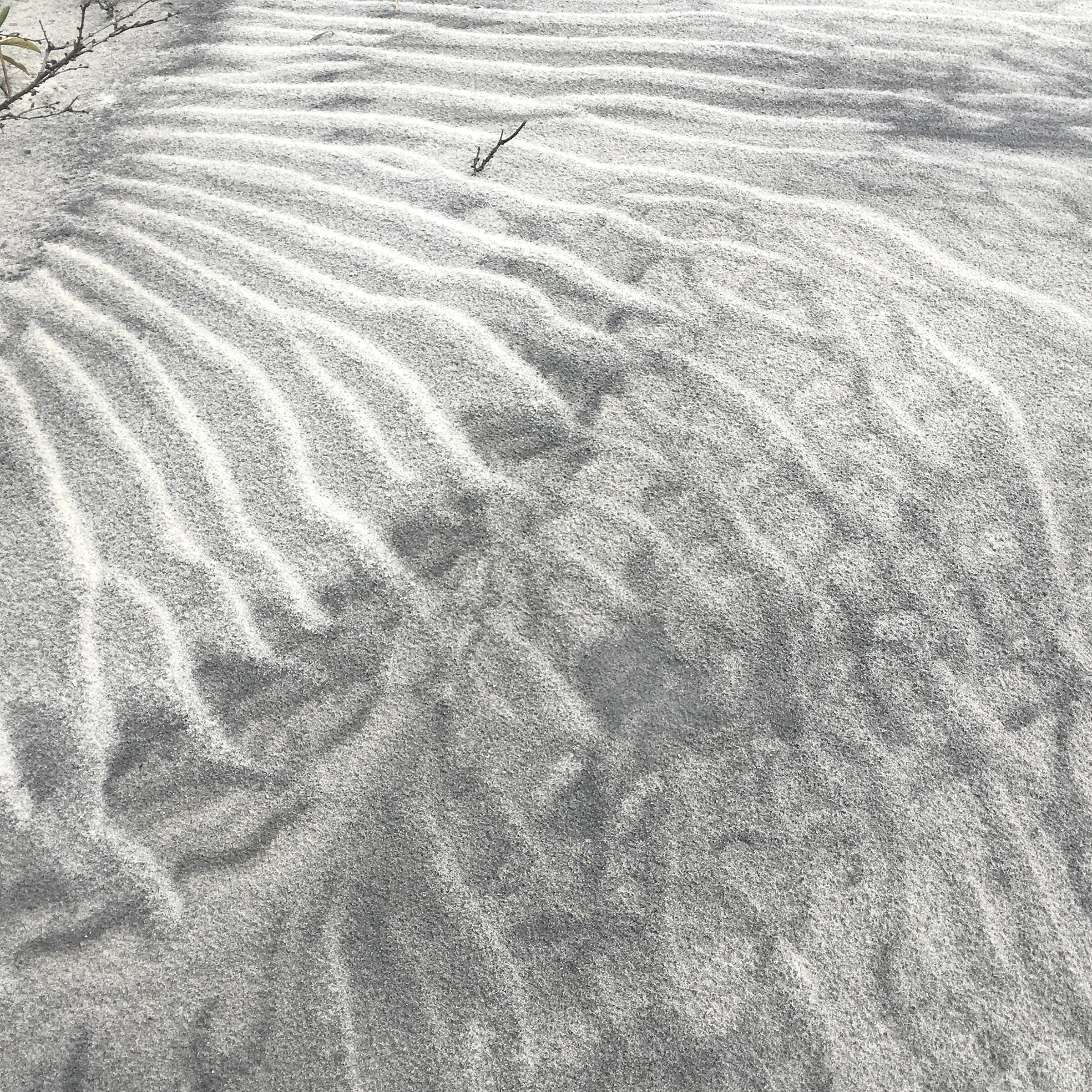 Wind Patterns Jo Levine Photograph printed on aluminum 8 x 8 in. Click image to enlarge ⦿ Inquire