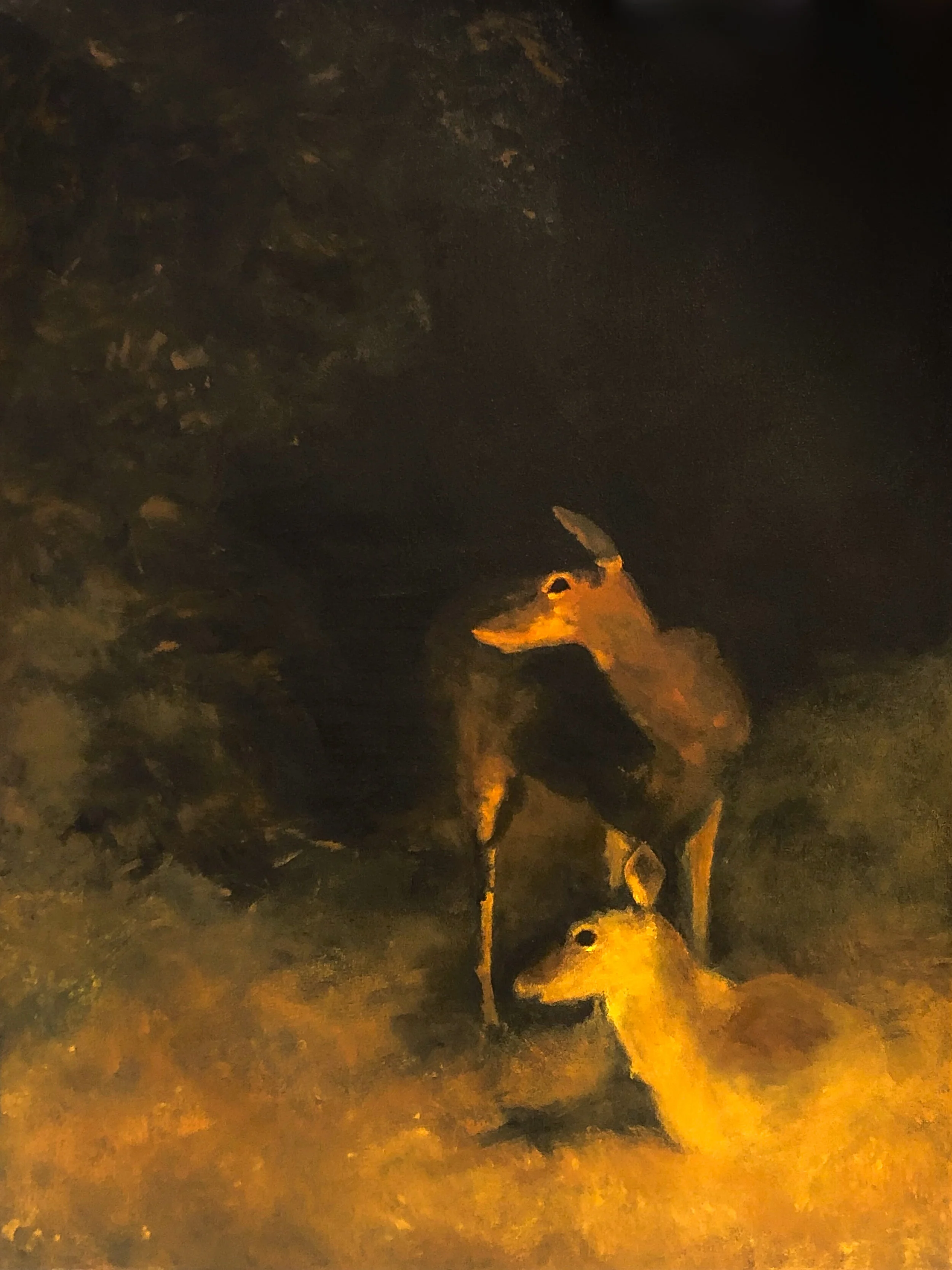 Deer in the Headlight (Maryland) Thierry Guillemin Acrylic on canvas 40 x 30 in. Click image to enlarge ⦿ Inquire