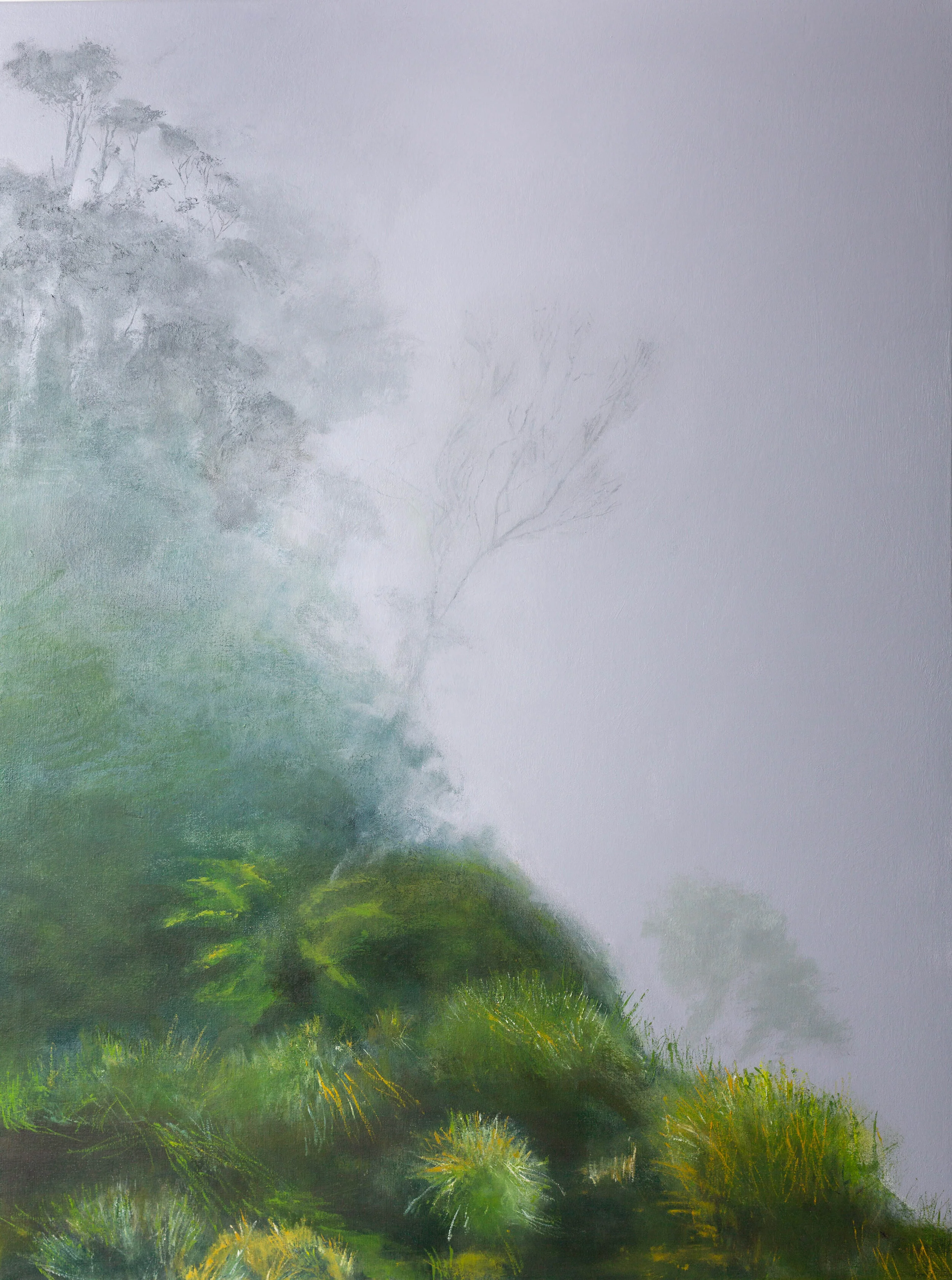 Fog in the Blue Mountains (New South Wales) Thierry Guillemin Acrylic on canvas 40 x 30 in. Click image to enlarge ⦿ Inquire