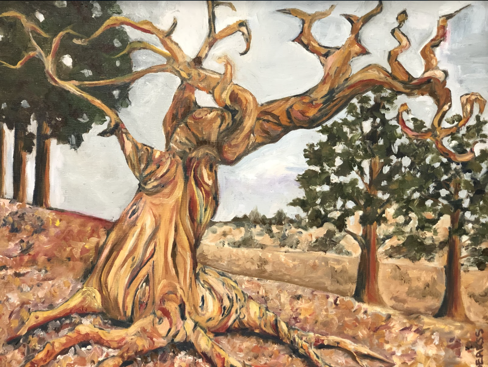 The Ancient One Cheryl Ann Bearss Oil on canvas 16 x 20 in. Click image to enlarge ⦿ Inquire