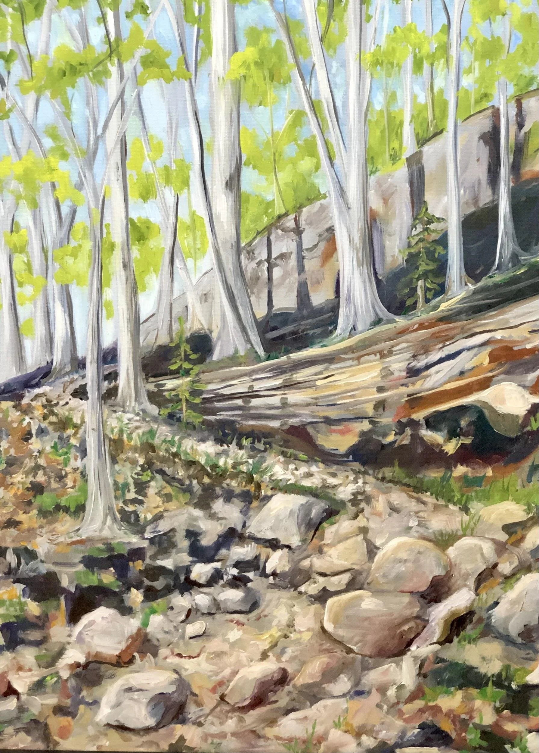 Trail to the Top Cheryl Ann Bearss Oil on canvas 20 x 16 in. Click image to enlarge ⦿ Inquire