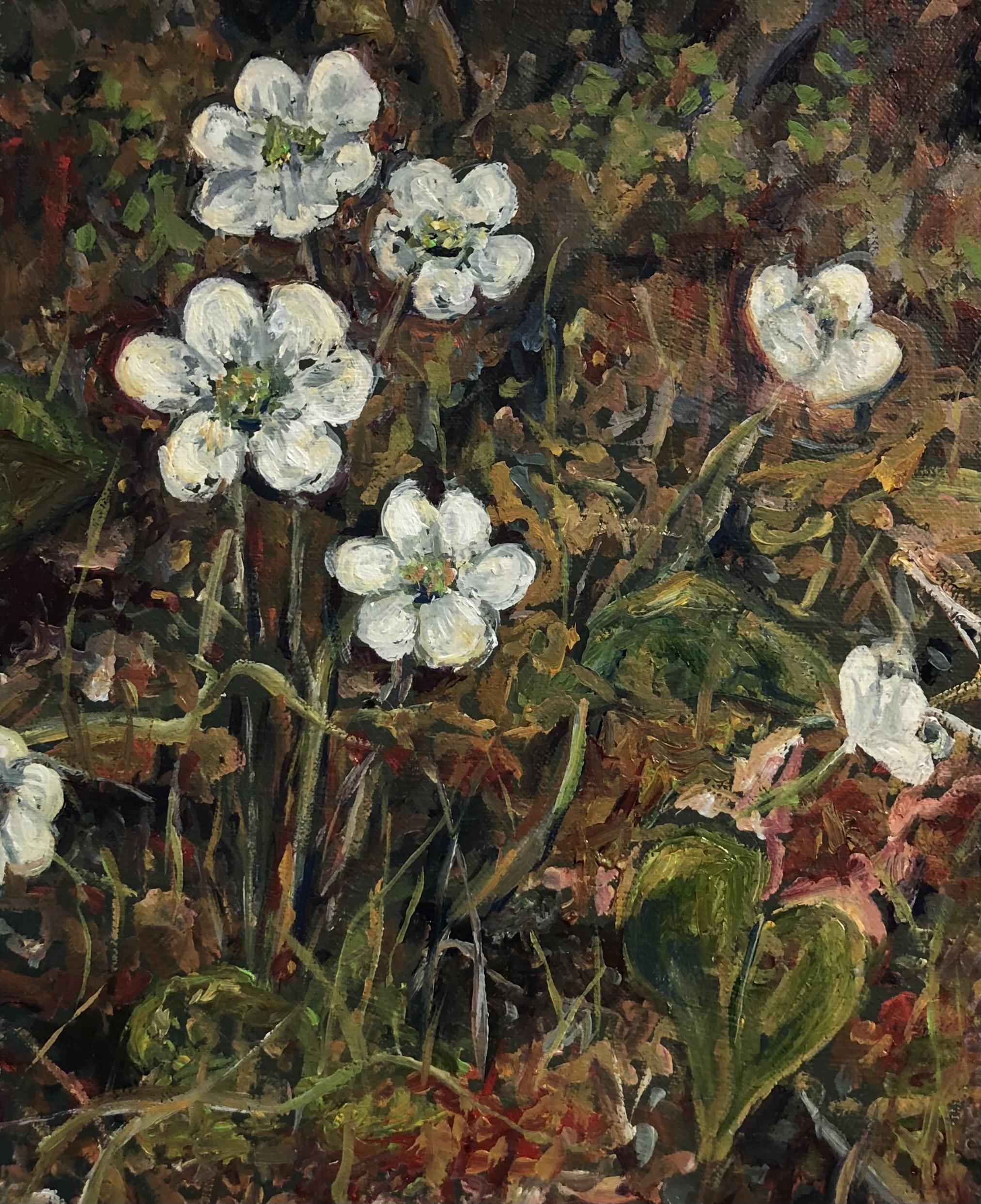 Forest Floor I Cheryl Ann Bearss Oil on canvas 8 x 10 in. Click image to enlarge ⦿ Inquire