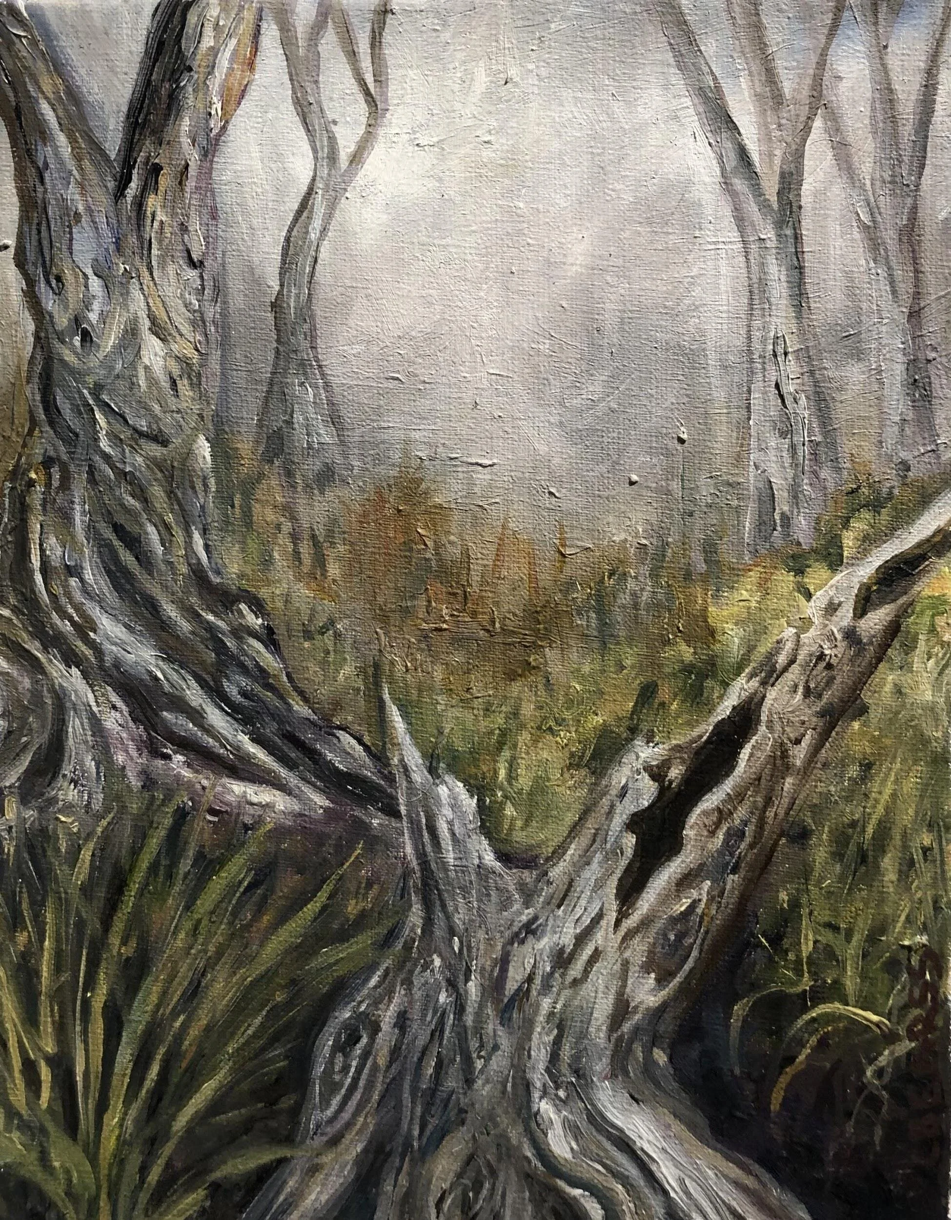 Forest Floor II Cheryl Ann Bearss Oil on canvas 8 x 10 in. Click image to enlarge ⦿ Inquire