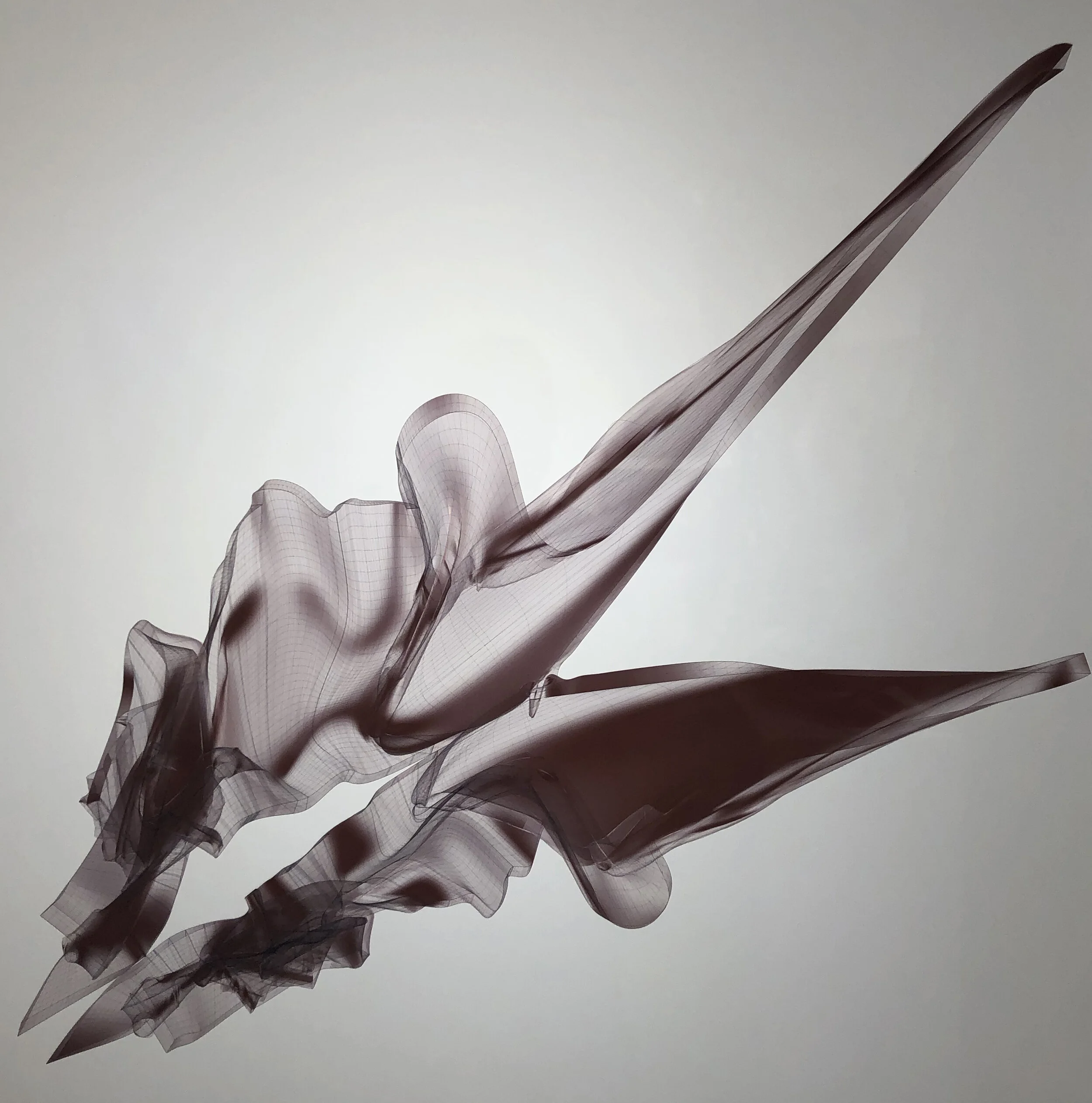 Leonardo's Dream to Flight 2 Davide Prete 2020 Archival&nbsp;print on aluminum 30 x 30 in. Click image to enlarge ⦿ Inquire