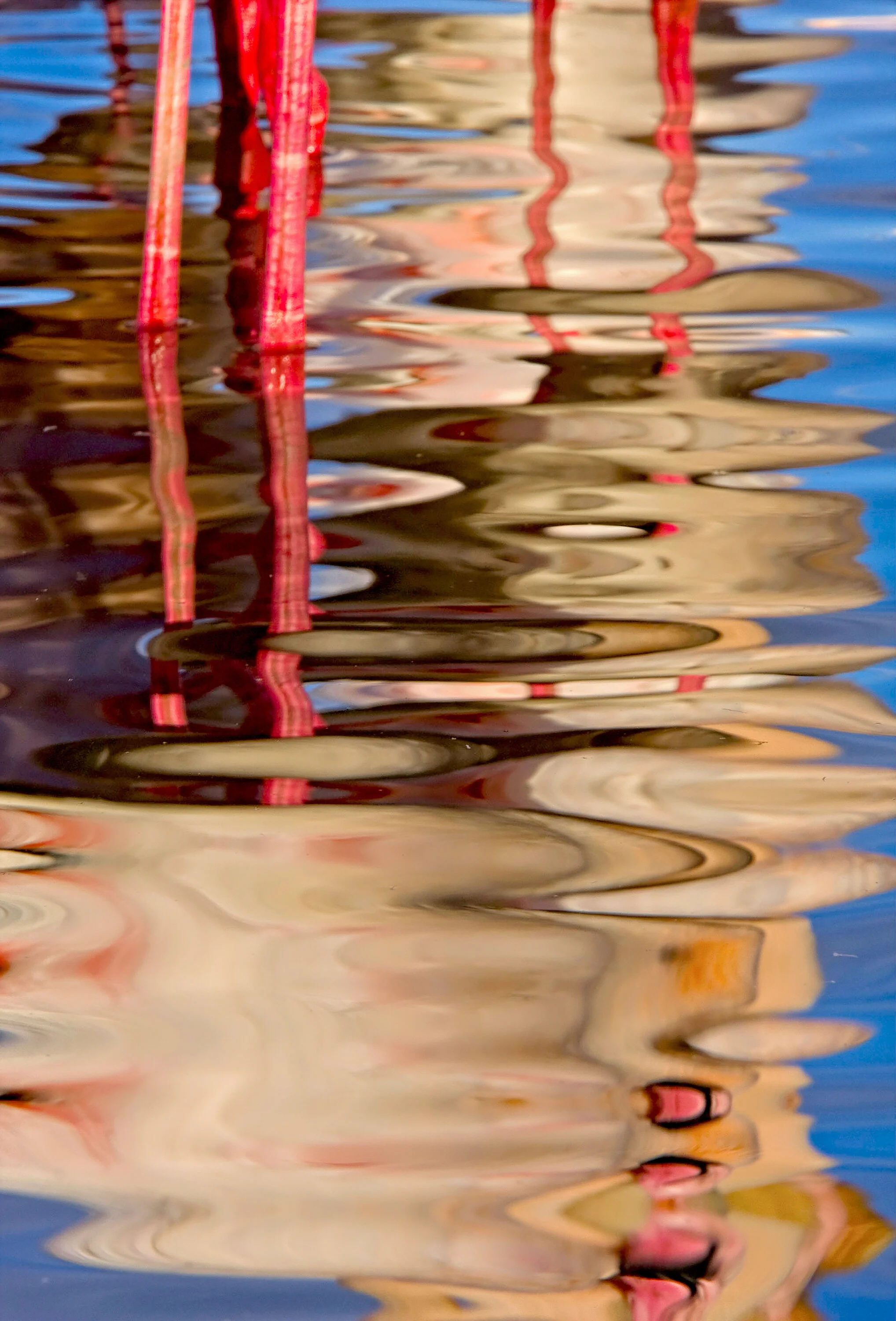 Flamingos Bob Burgess Photograph Click image to enlarge ⦿ Inquire
