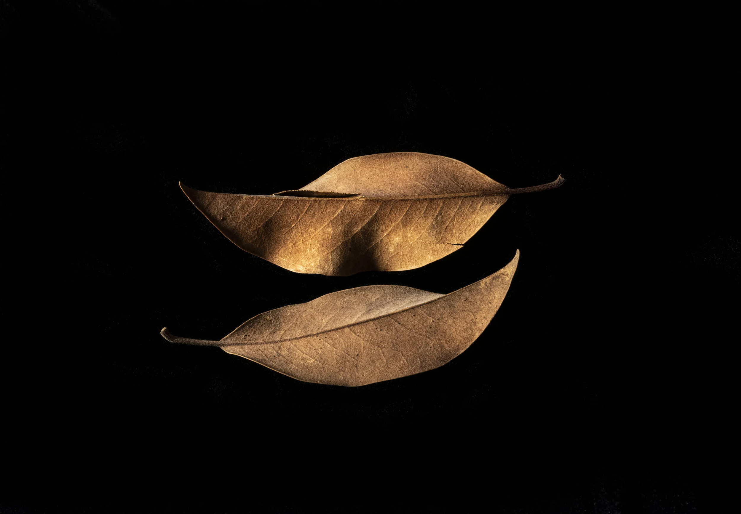 Balance Archivally printed photograph 16” x 20” Click image to enlarge ⦿ Inquire