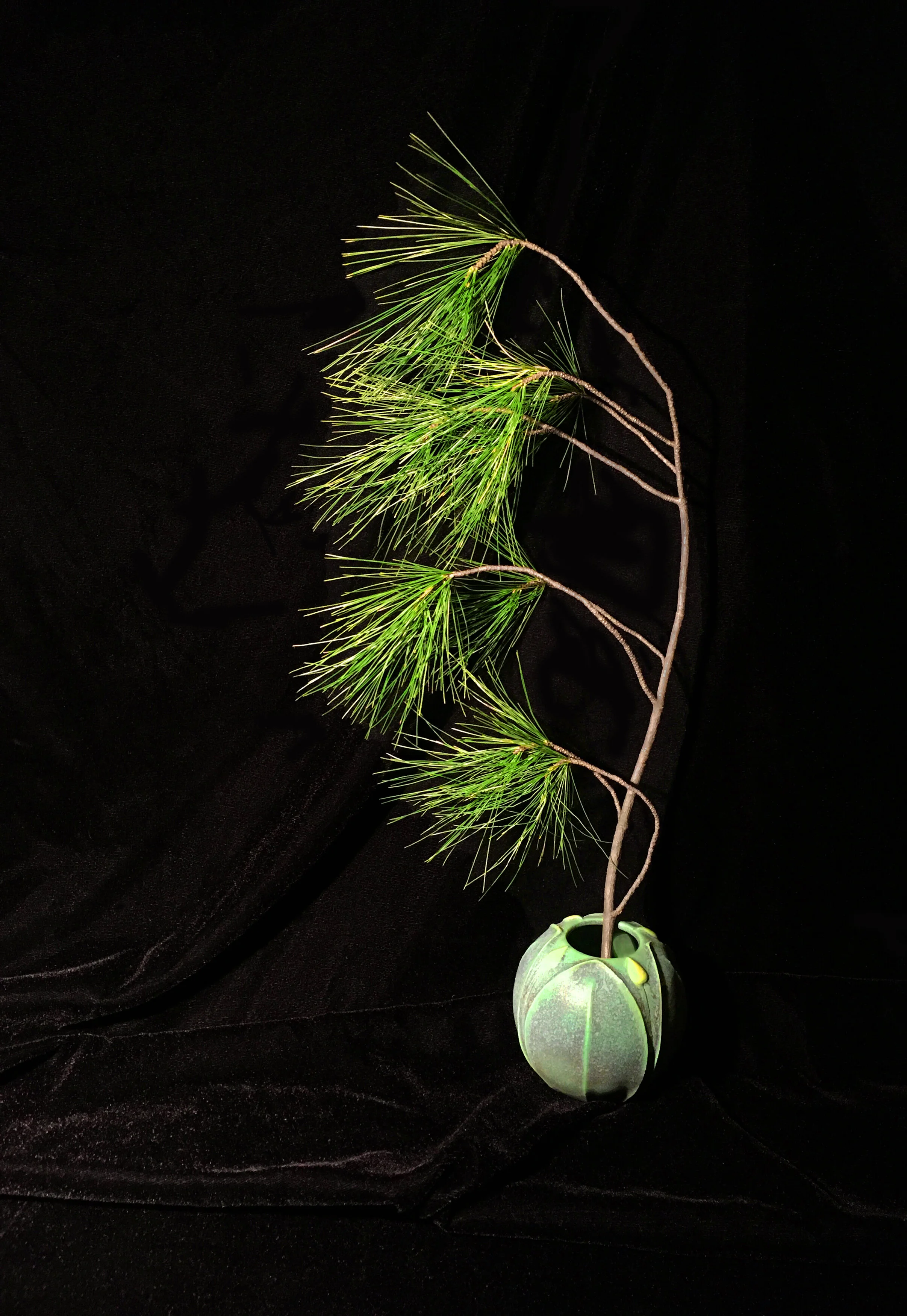 Contemplation Archivally printed photograph 20” x 16” Click image to enlarge ⦿ Inquire