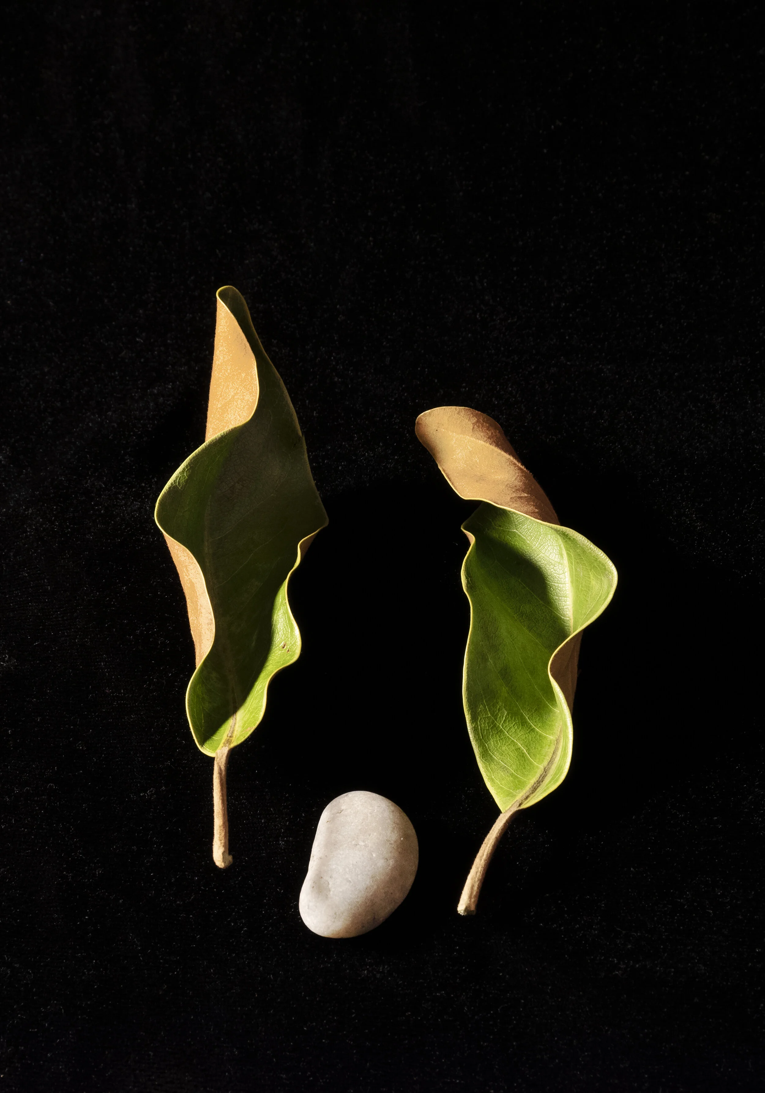 Guardians Archivally printed photograph 20” x 16” Click image to enlarge ⦿ Inquire