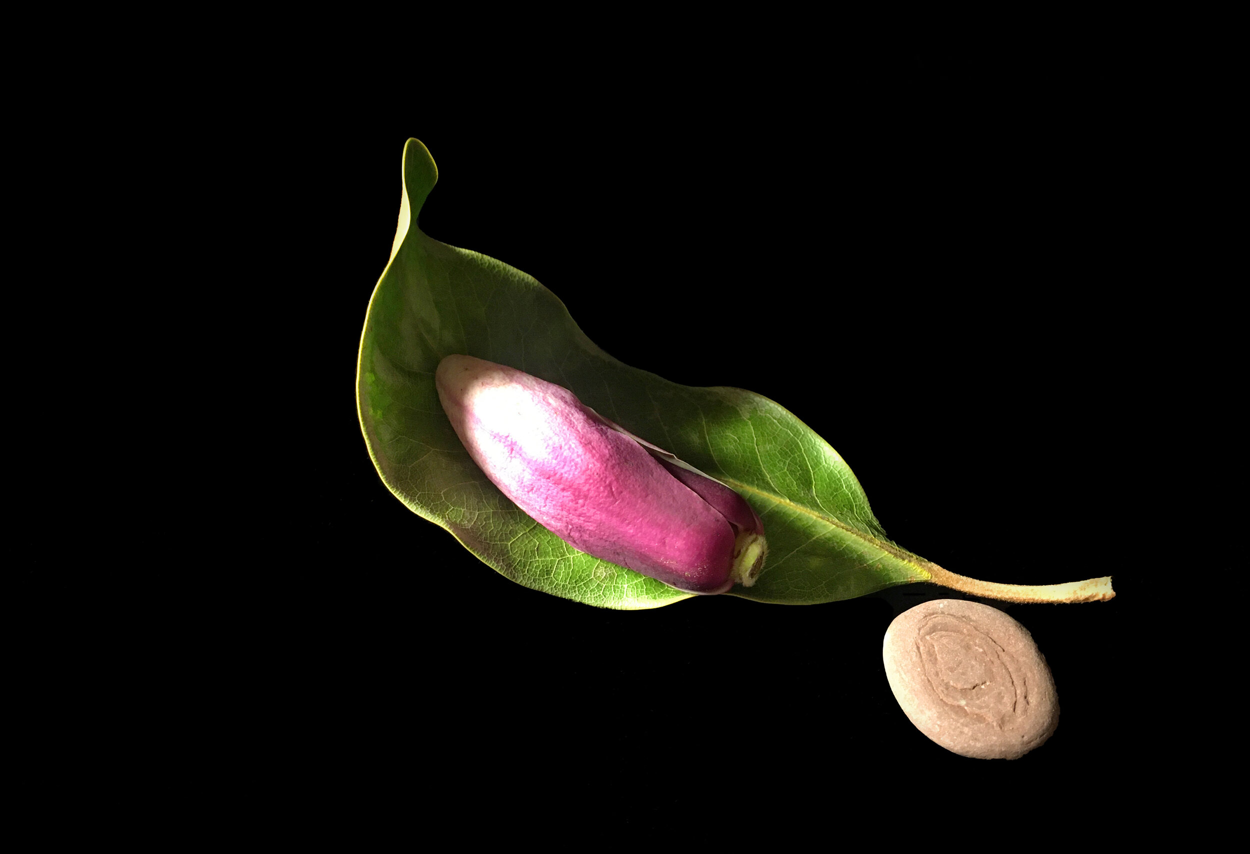 Cradled Archivally printed photograph 20” x 26” Click image to enlarge ⦿ Inquire