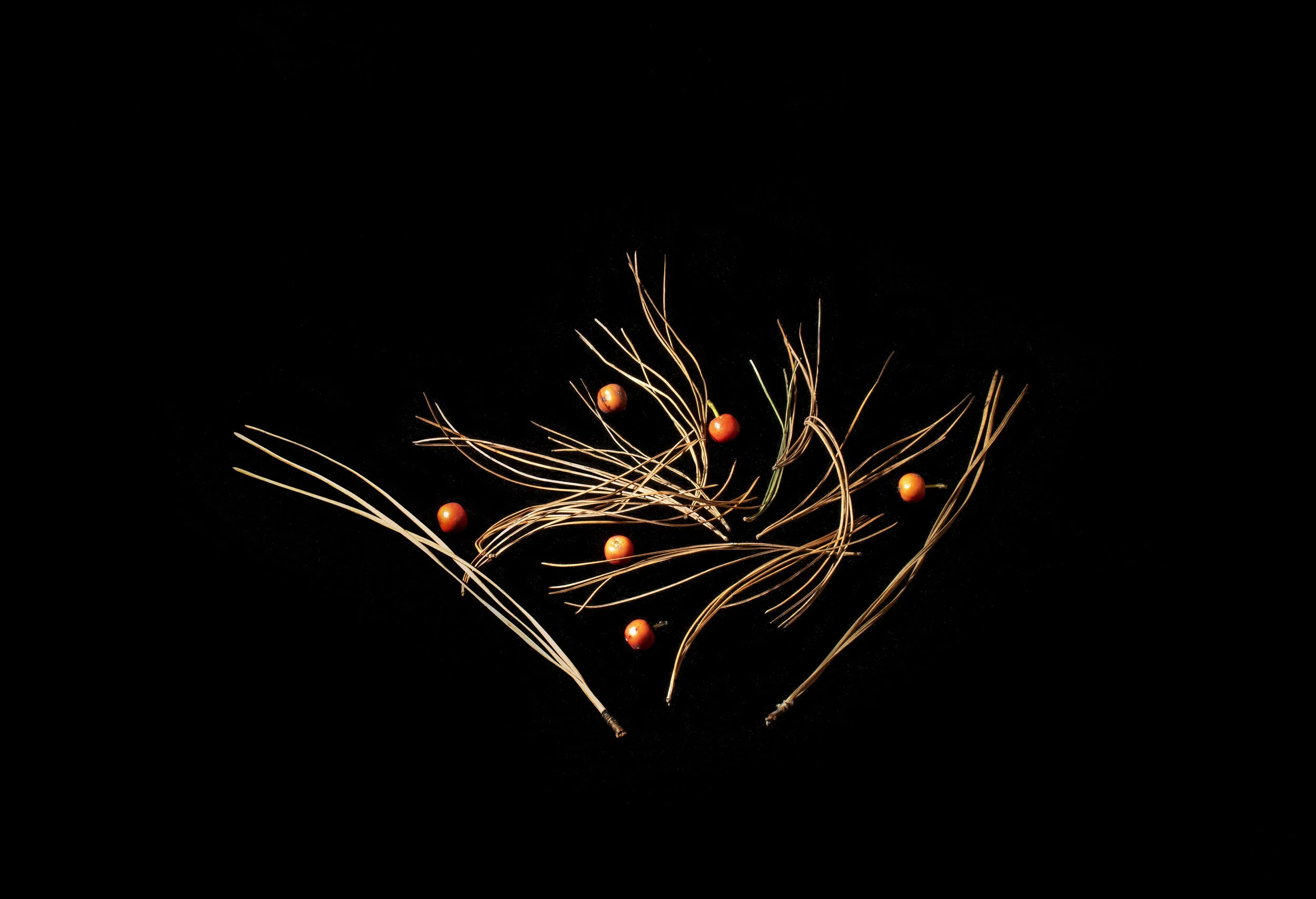 Dancers Archivally printed photograph 20” x 26” Click image to enlarge ⦿ Inquire